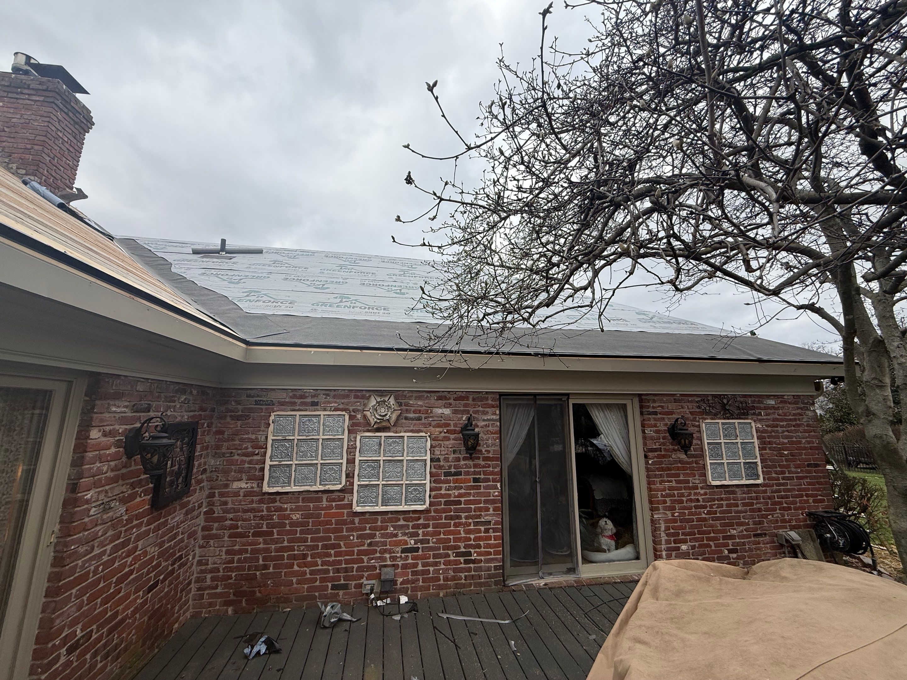 Project in Louisville, KY by GreenForce Restoration