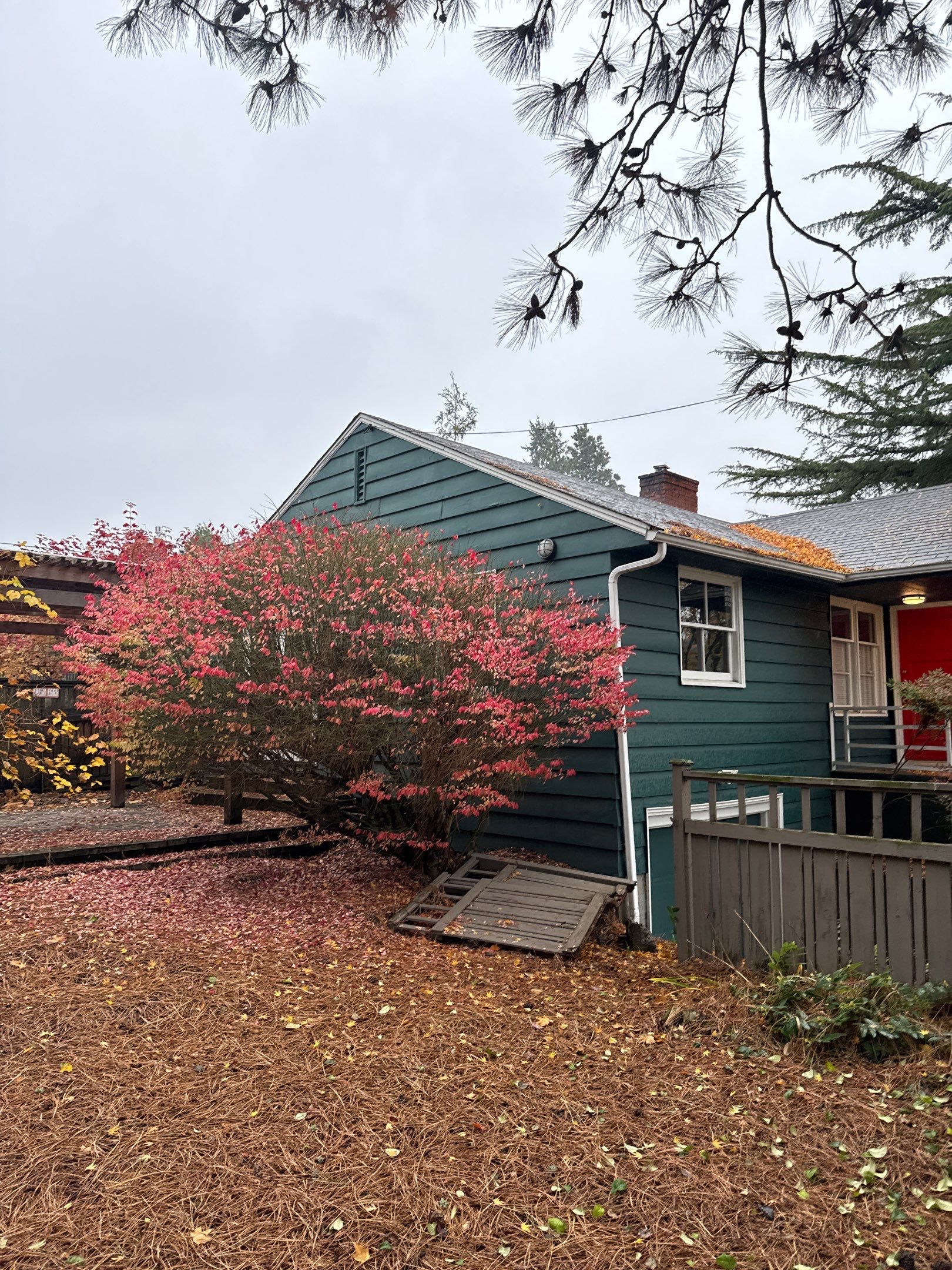 Hand Decon - NE 65th St by Sledge Seattle