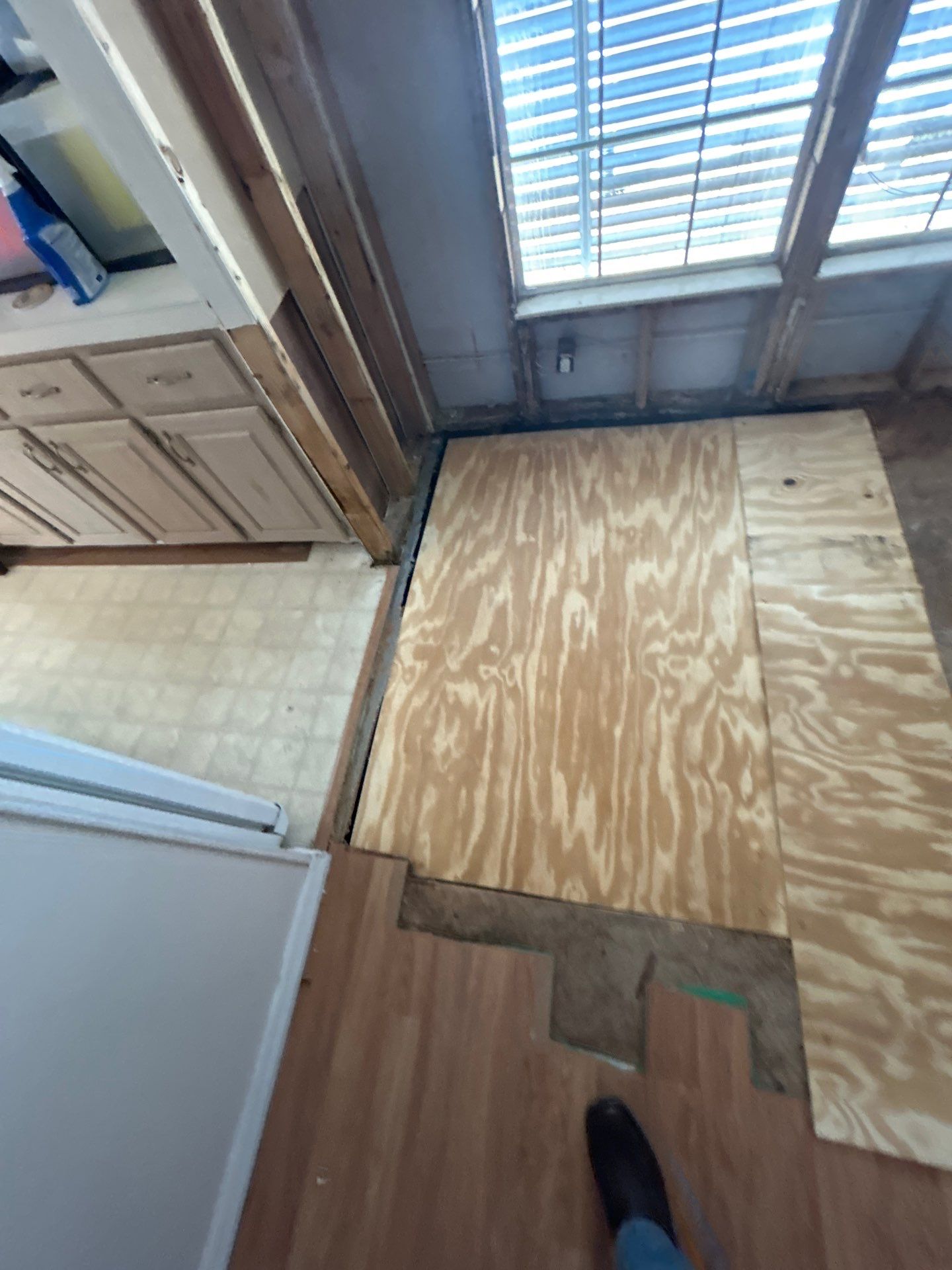 Mold Remediation Palmetto by Ampm Restoration Services 