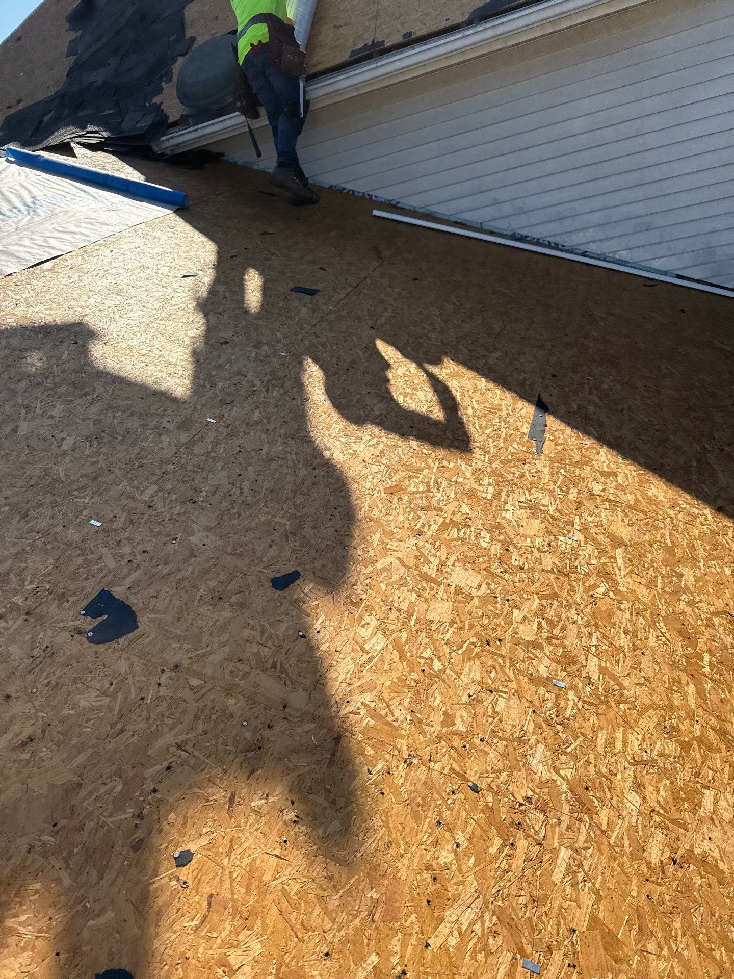 Gainesville: Residential Roof Replacement with CertainTeed Landmark in Moire Black  by RM Banning, Inc.