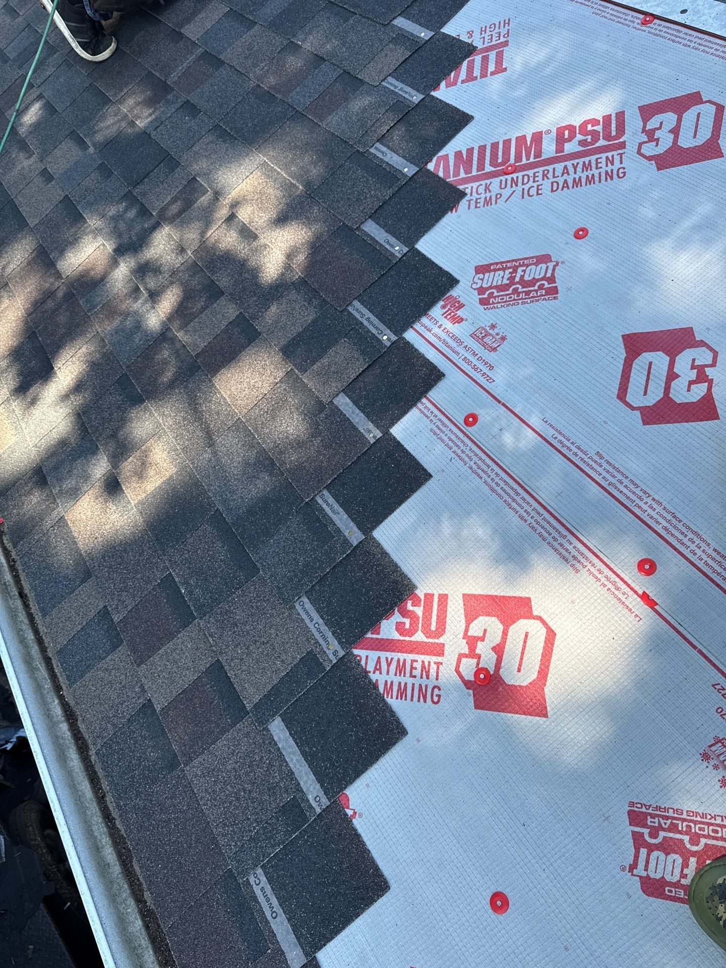 OC FLEX - BLACK SABLE by Forever Fortified