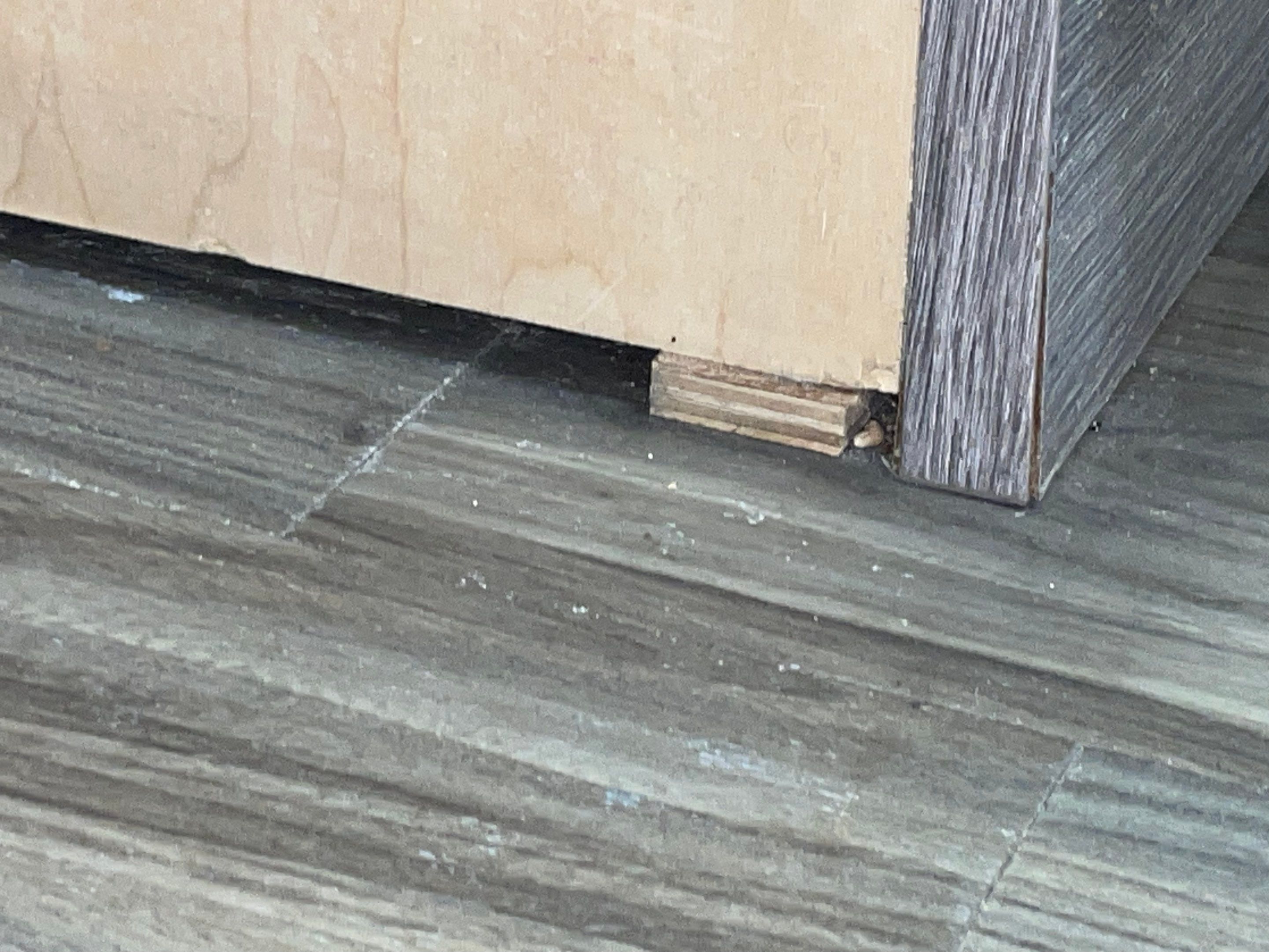 Water Damage Claim in Lakewood by FLAPA & KeyStone