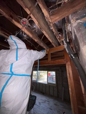 Project in Tampa, FL