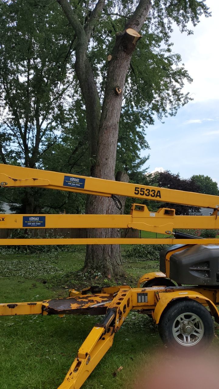 Tree Removal by Mike Jones & Sons Tree Service LLC 