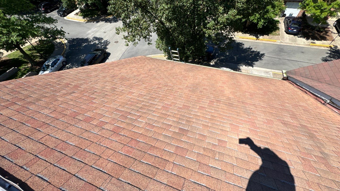 Alexandria: Roof Replacement with CertainTeed Landmark Pro in Max Def Burnt Sienna by RM Banning, Inc.