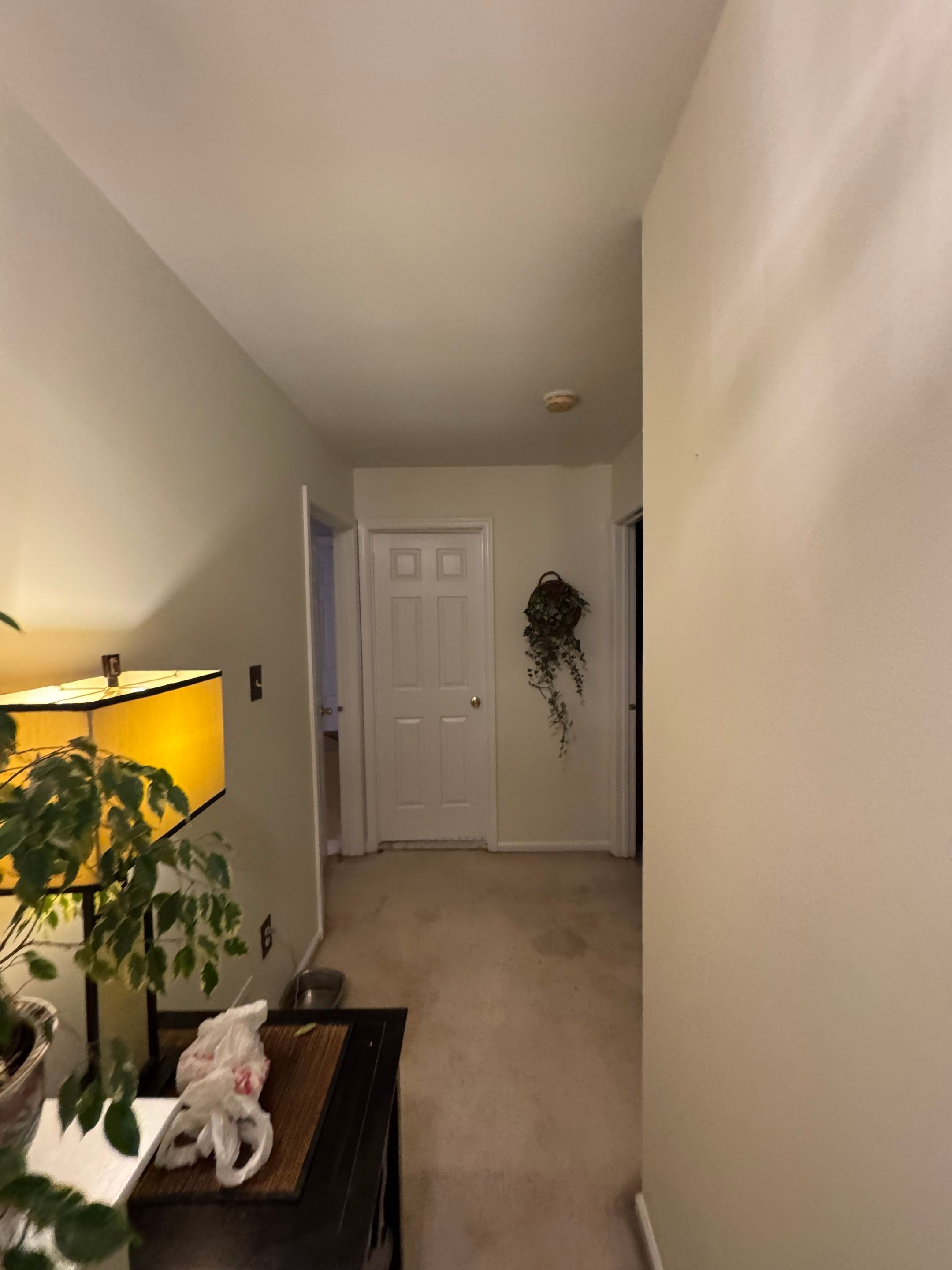Full Home Transformation in Collegeville, PA by Davis Painting Llc 