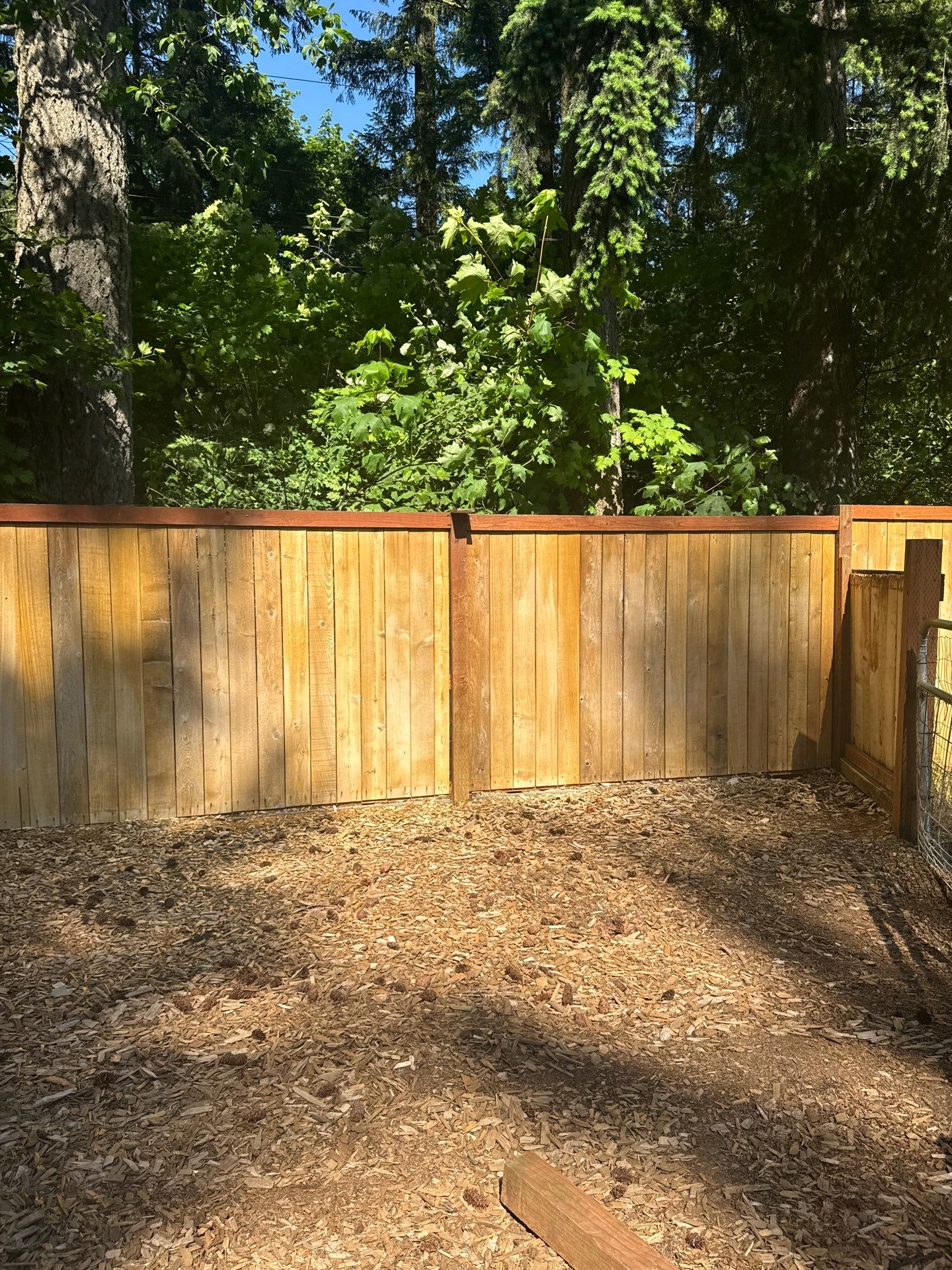 Project in North Bend by Clean Buildings