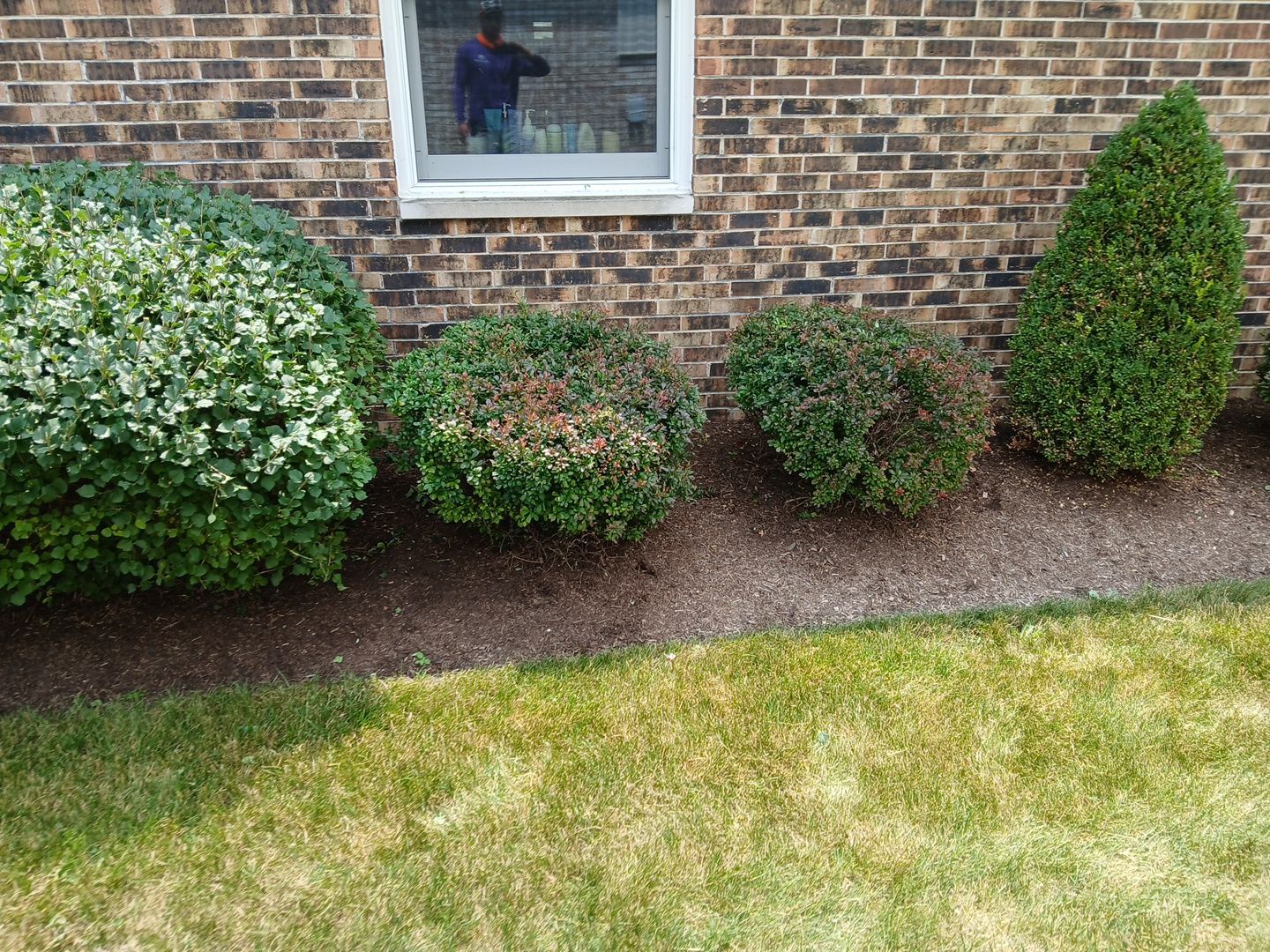 Ed E. - Wheeling, IL by A&N 