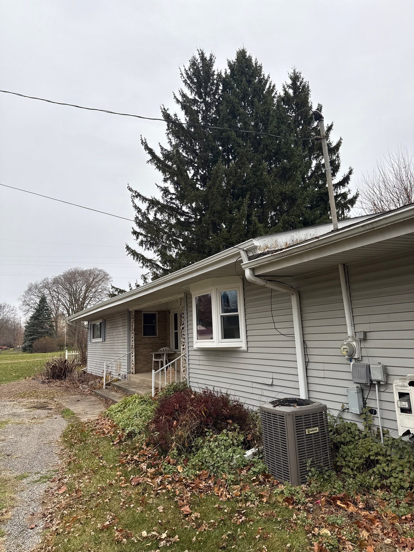 Elsie by Sunrise Seamless