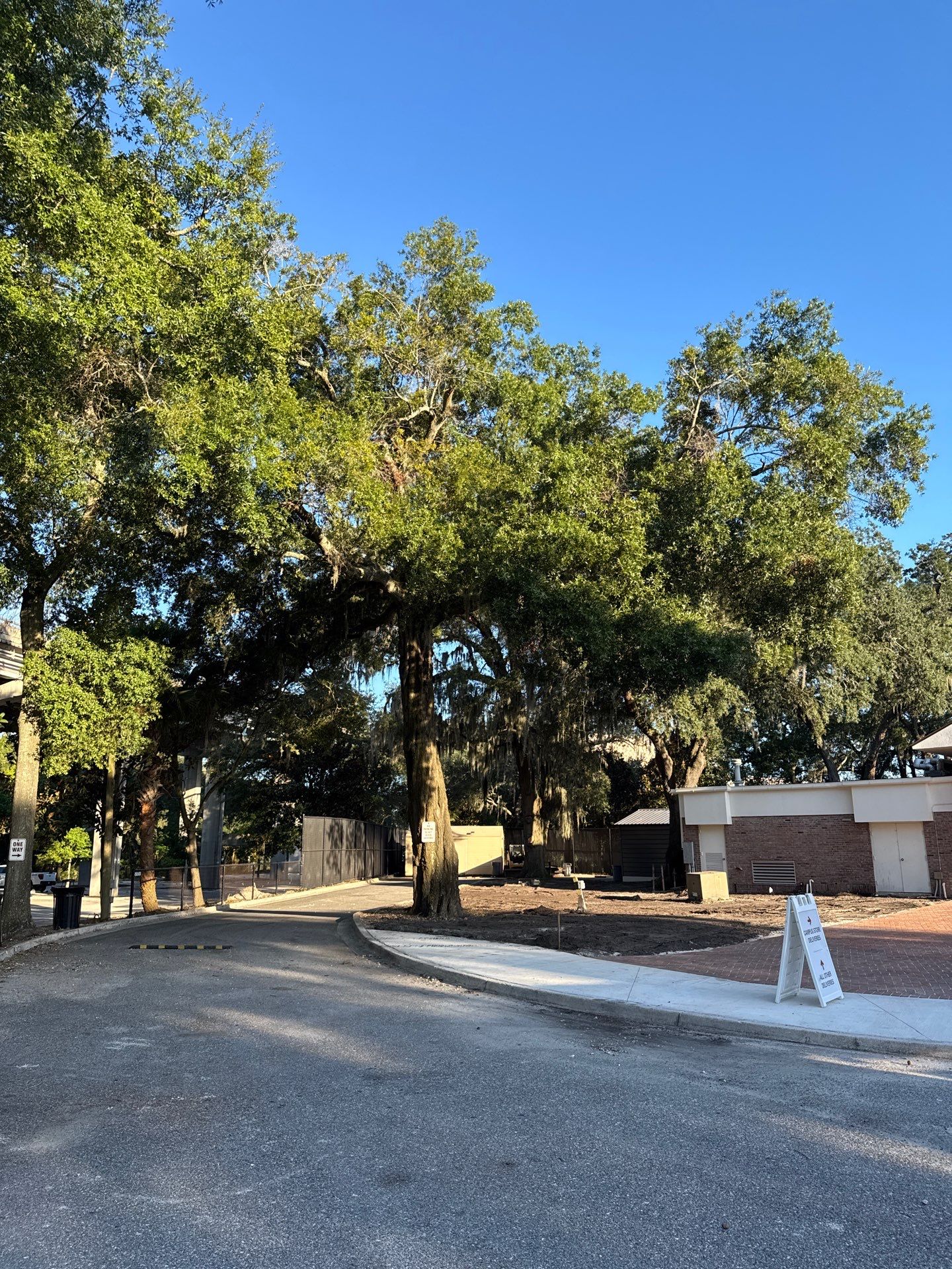 Welcome Center Tree Removal | Episcopal School of Jacksonville by ProGreen Services