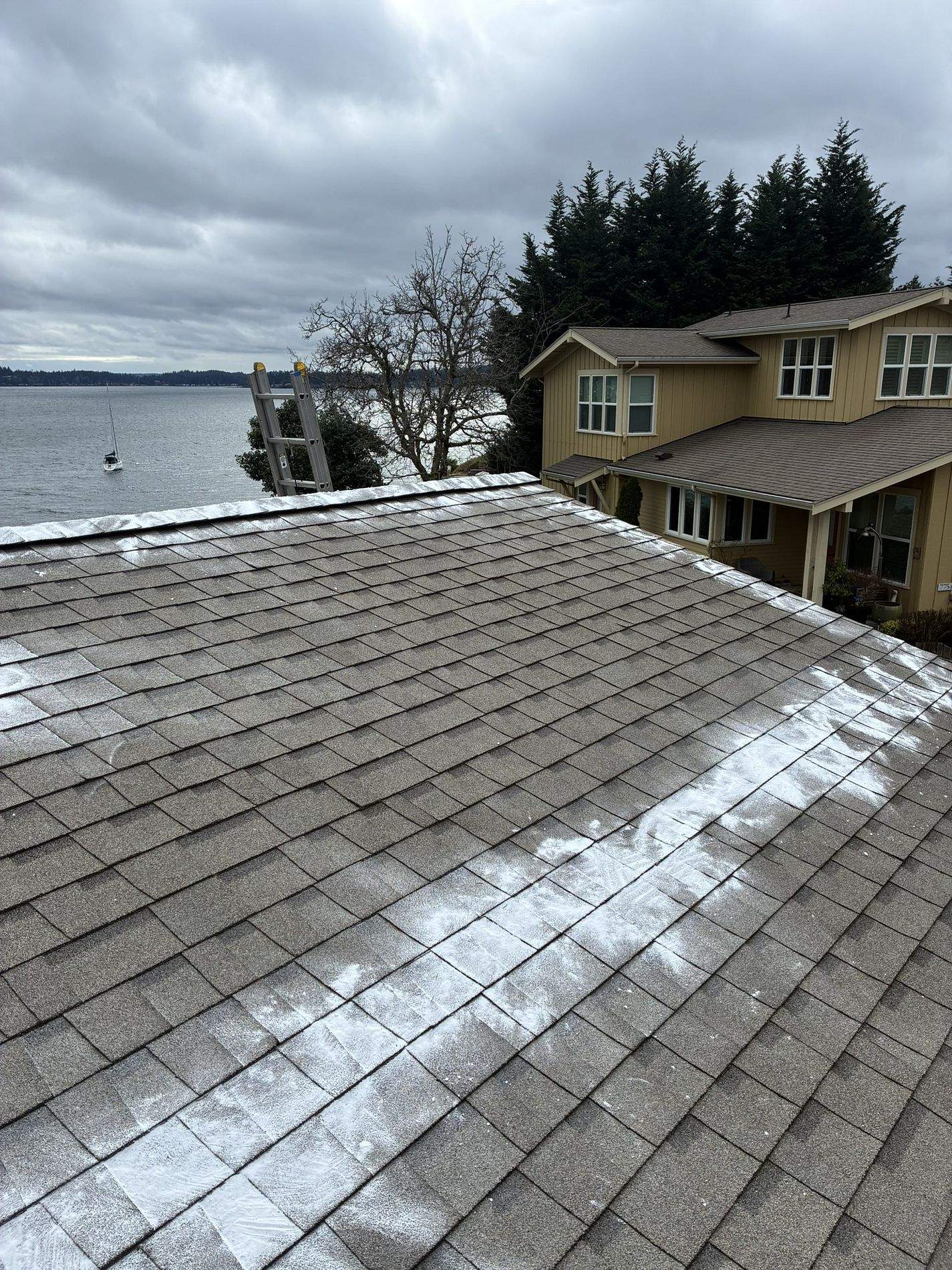 Residential Roof Cleaning in Bemerton, WA by Hanley Construction