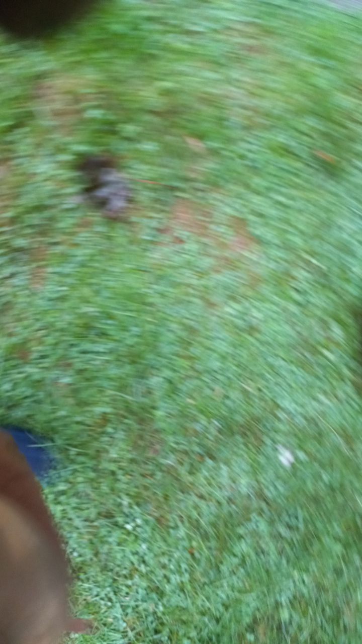 Residential Roofing Installation using Owens Corning Duration Brownwood by A Plus Exterior