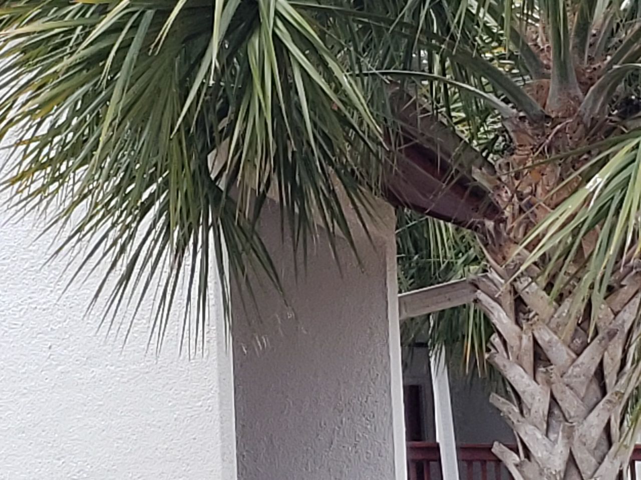 Gutter Installation using 6 Inch Seamless Gutters in Musket Brown by Gutter Professors