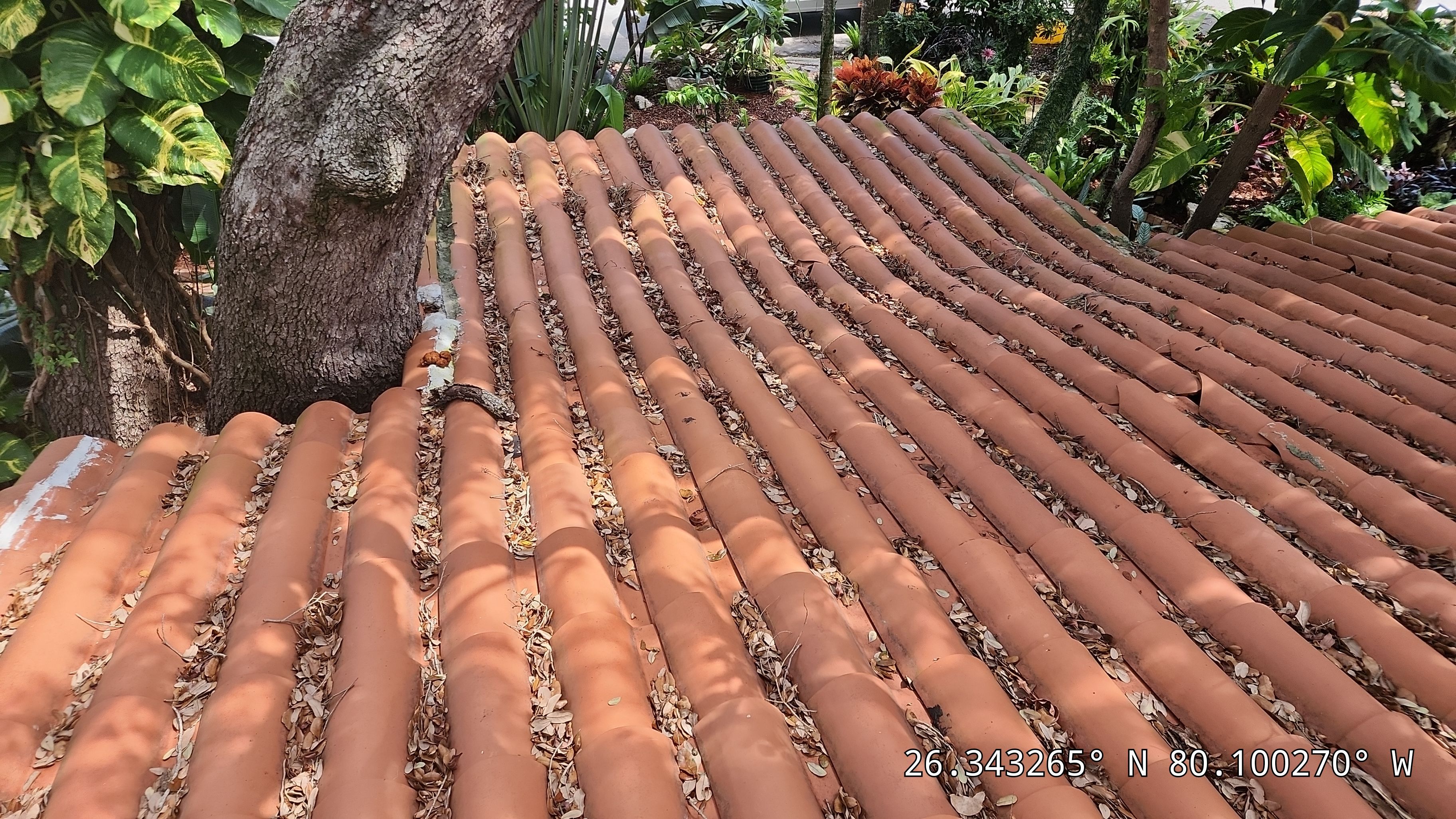 Clay Tile Repair using Clay Roof Tile by Aastro Roofing