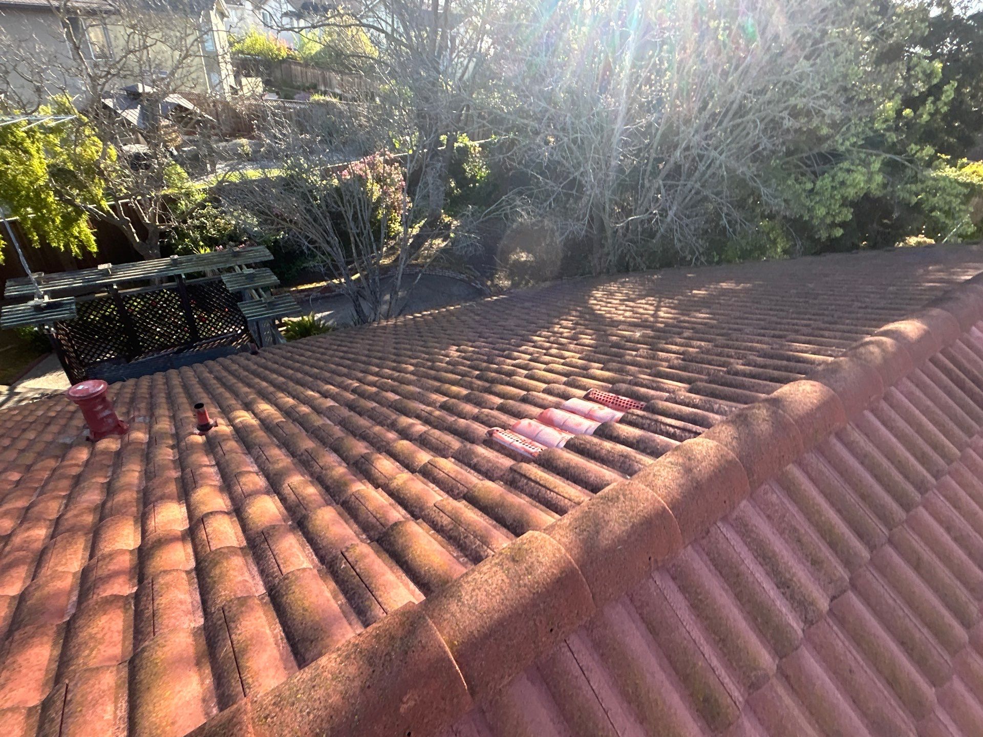 Insurance Renewal-Roof Cleaning by All One Solar Shine