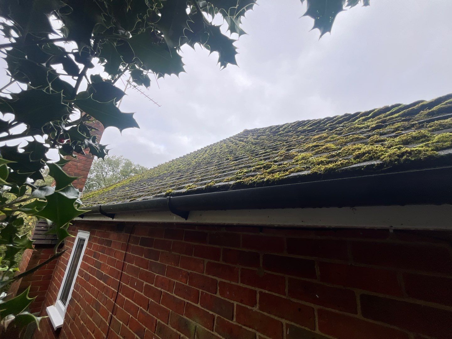 Roof Clean  - Moss Removal - Gutter Clean using Softwash Equipment by Ges Exterior Cleaning ltd