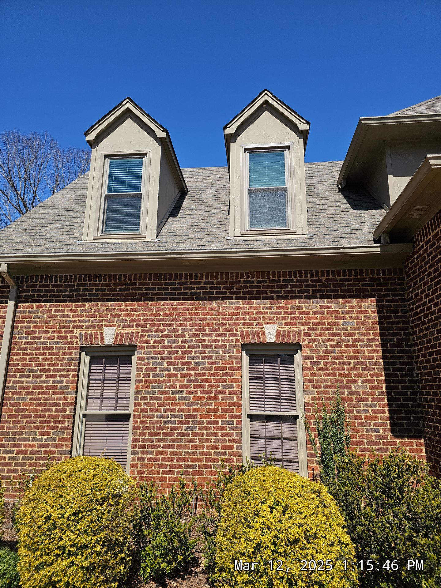 Kazemi Project in  by The Window Source