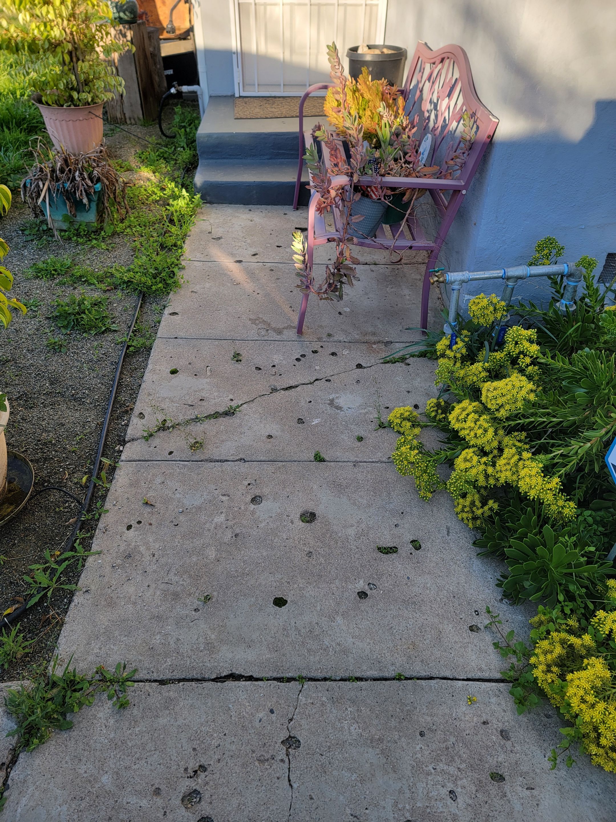 Front Porch and walkway by MGP Coatings