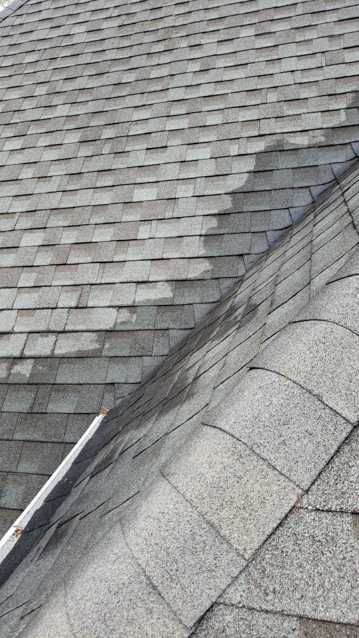 House Wash using cleaner by Power Wash Masters LLC