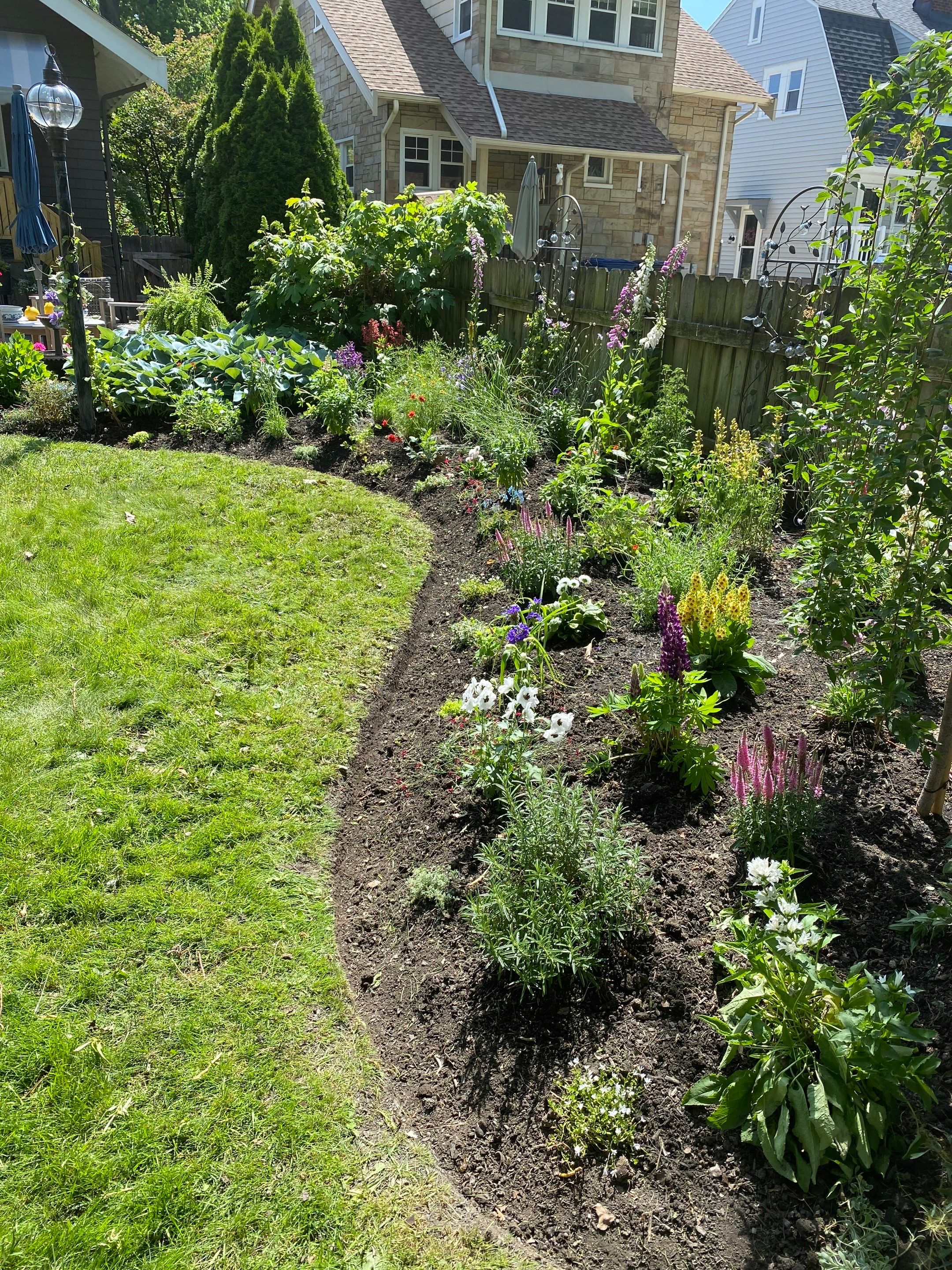 Pollinator Paradise Project by Elm Rose Gardens