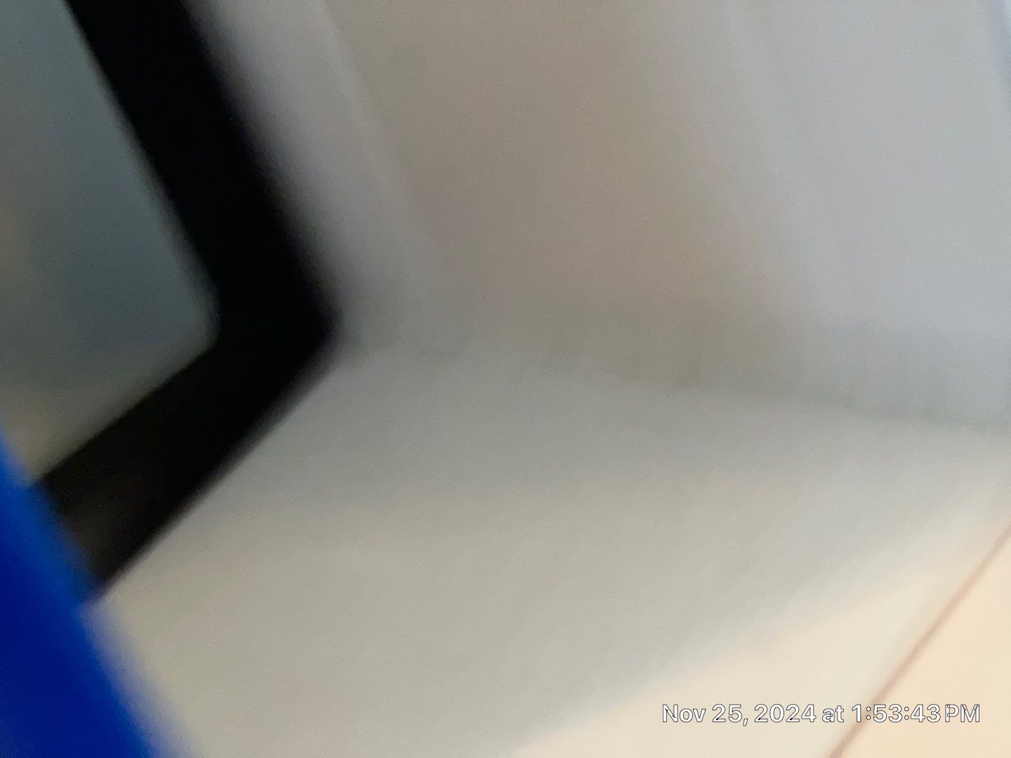 Mold Remediation Palmetto by Ampm Restoration Services 