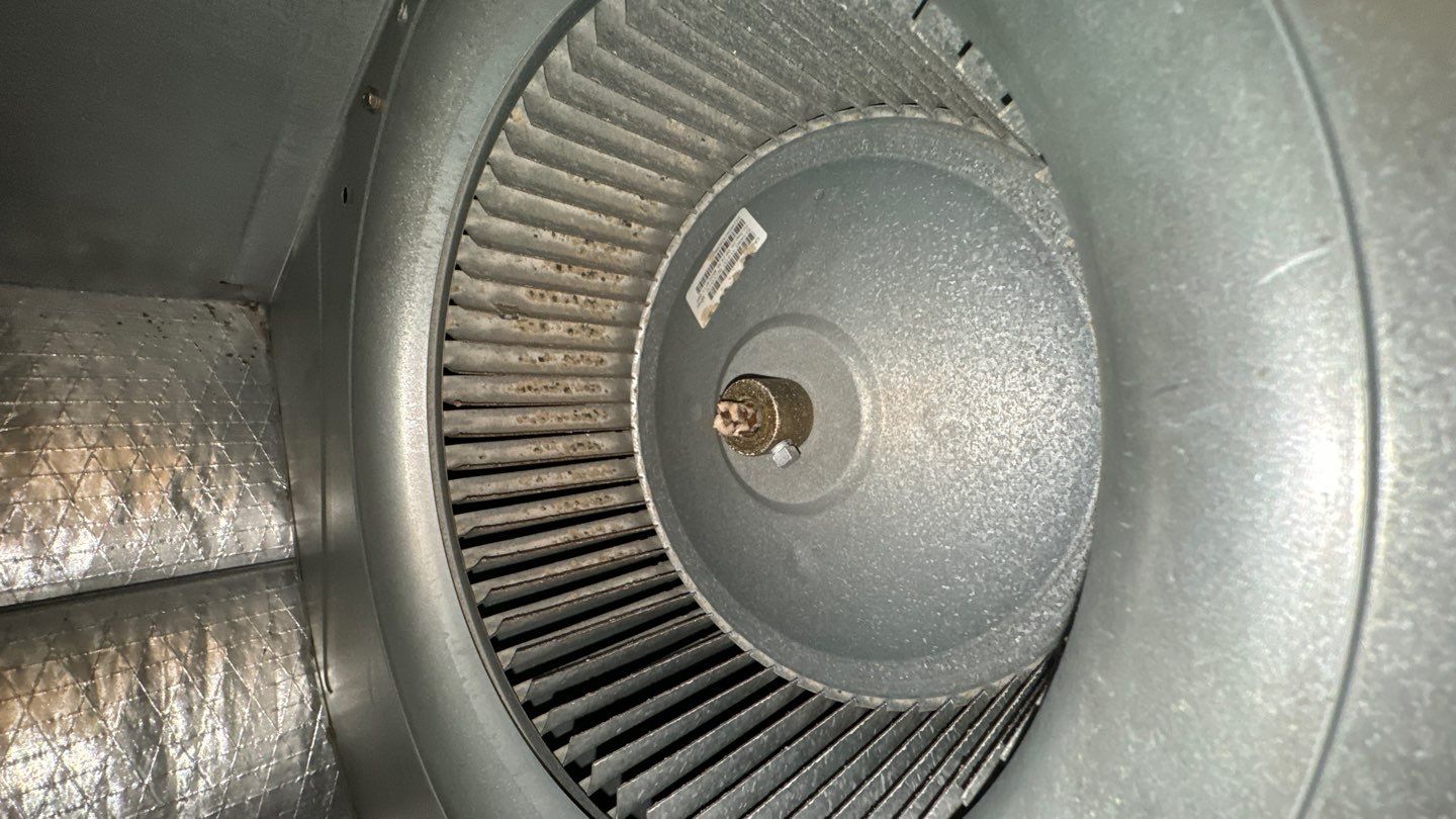 Air Duct Cleaning in Clermont by Hygienic Air, Inc