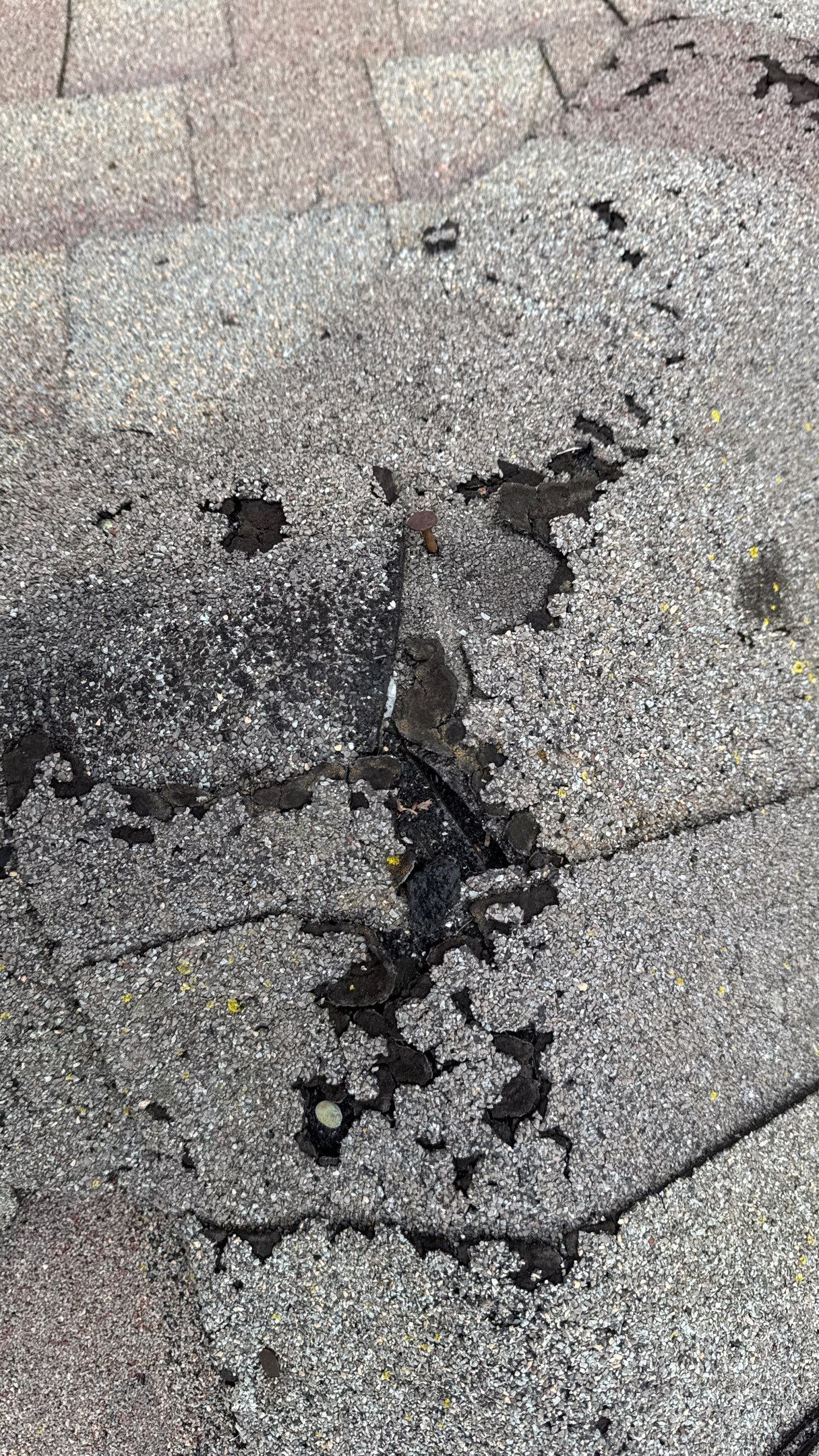 Roof Replacement using Owens Corning Colonial Slate by 180 Contractors