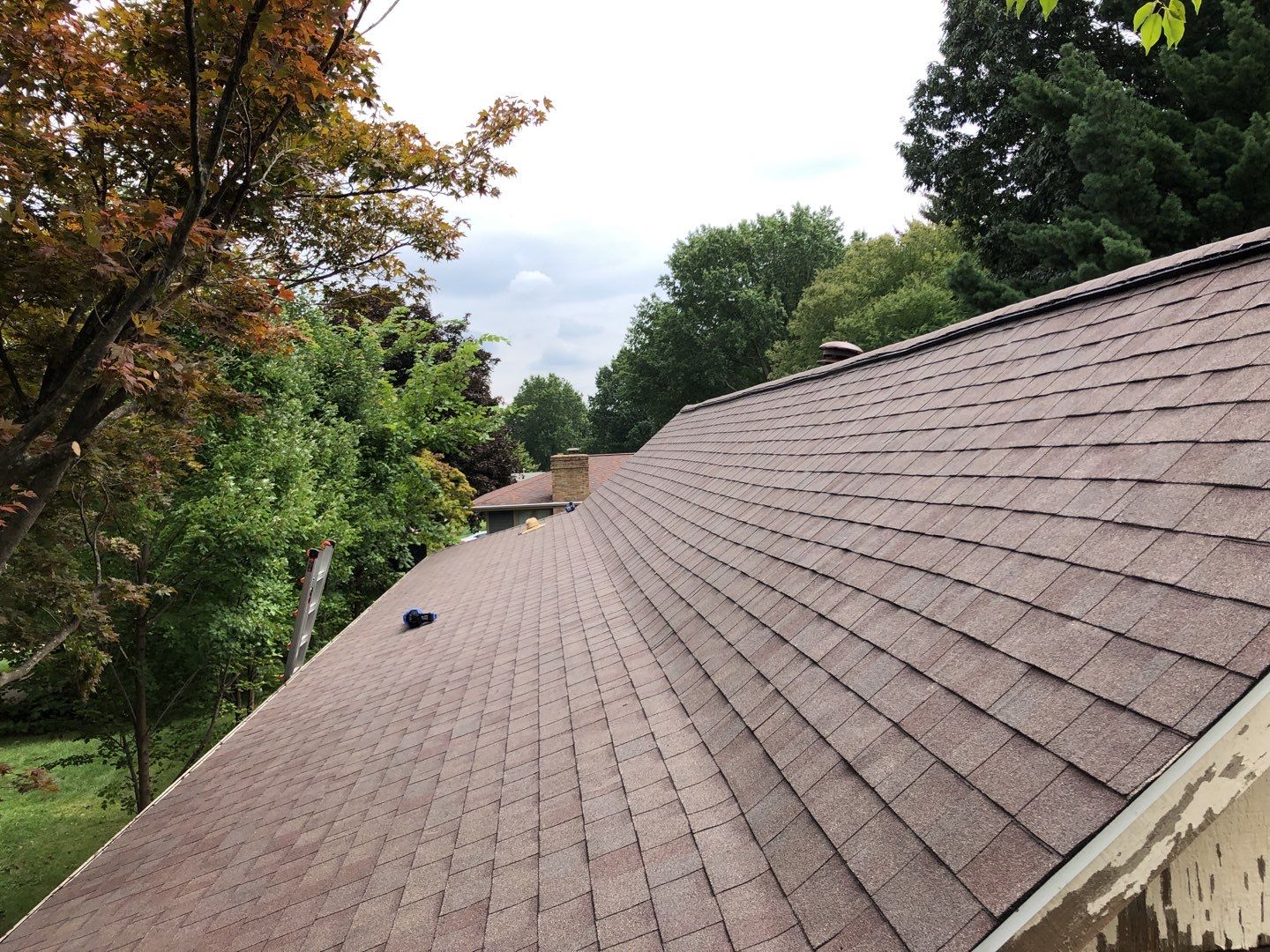 Marianne & Jim Pater by Silver Leaf Contracting 