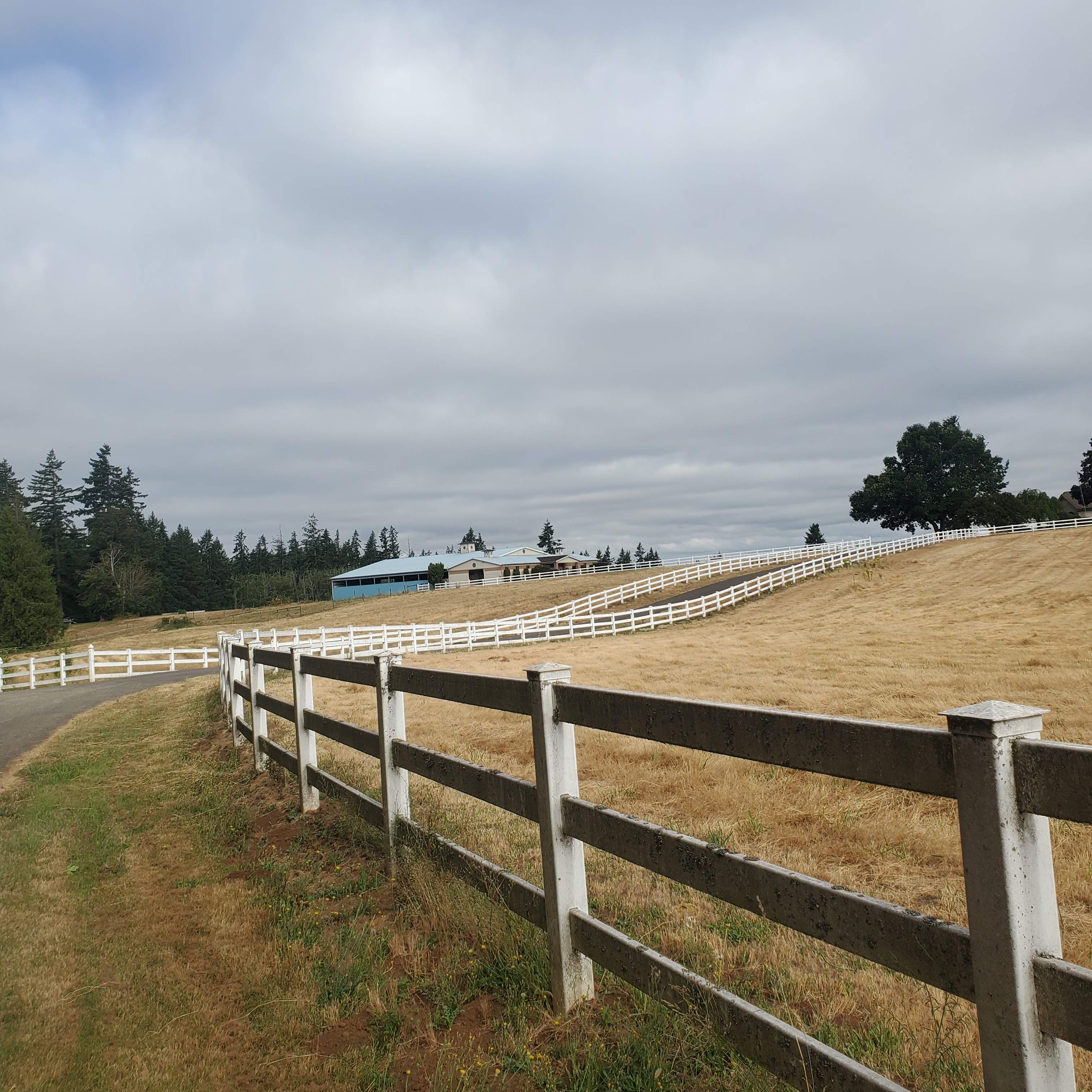 Vinyl Fence Wash using Surfactant by Willamette Outdoor Wash LLC