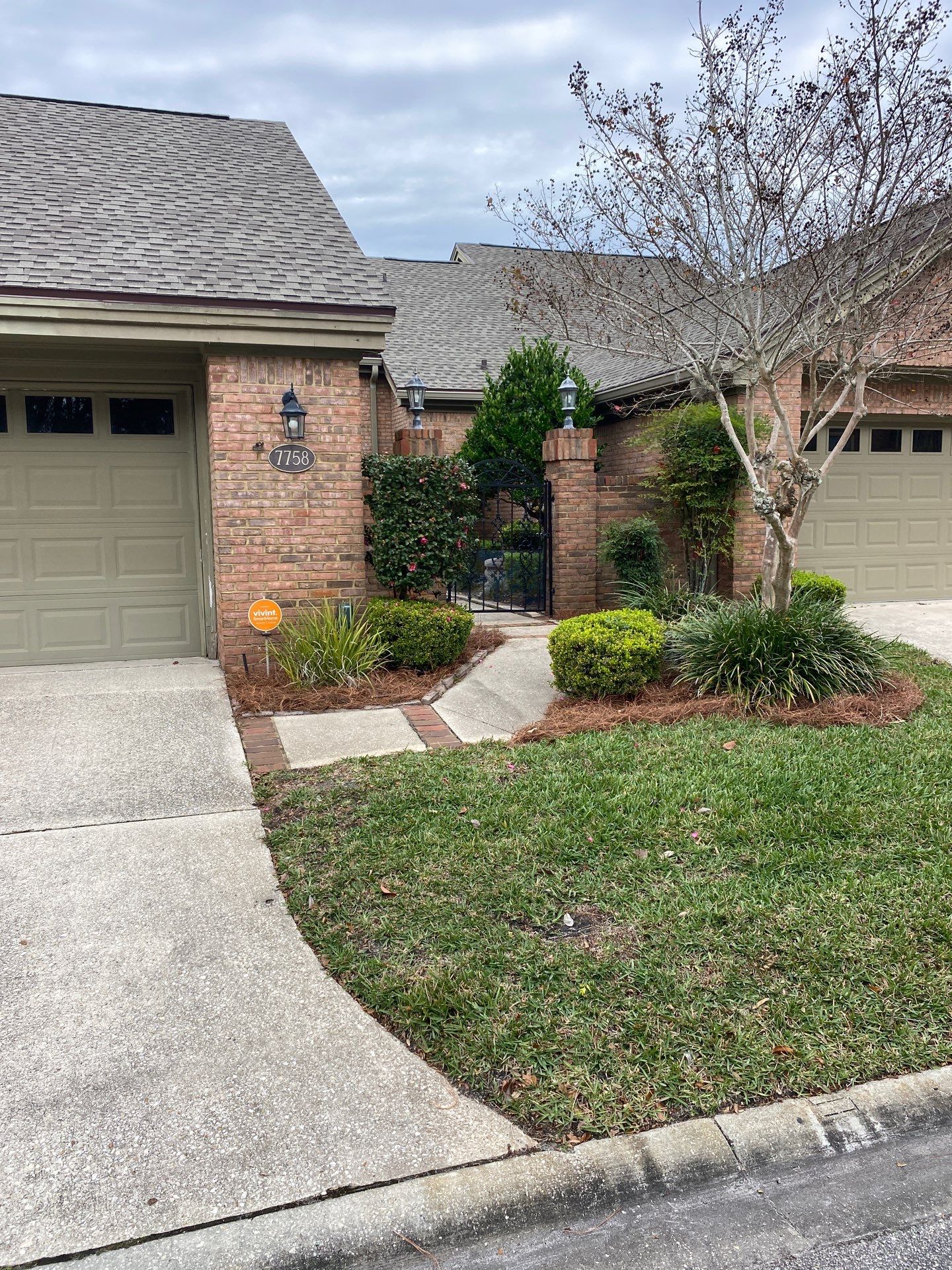 Deerwood Pointe | Tree Removal & Pine Straw Installation by ProGreen Services