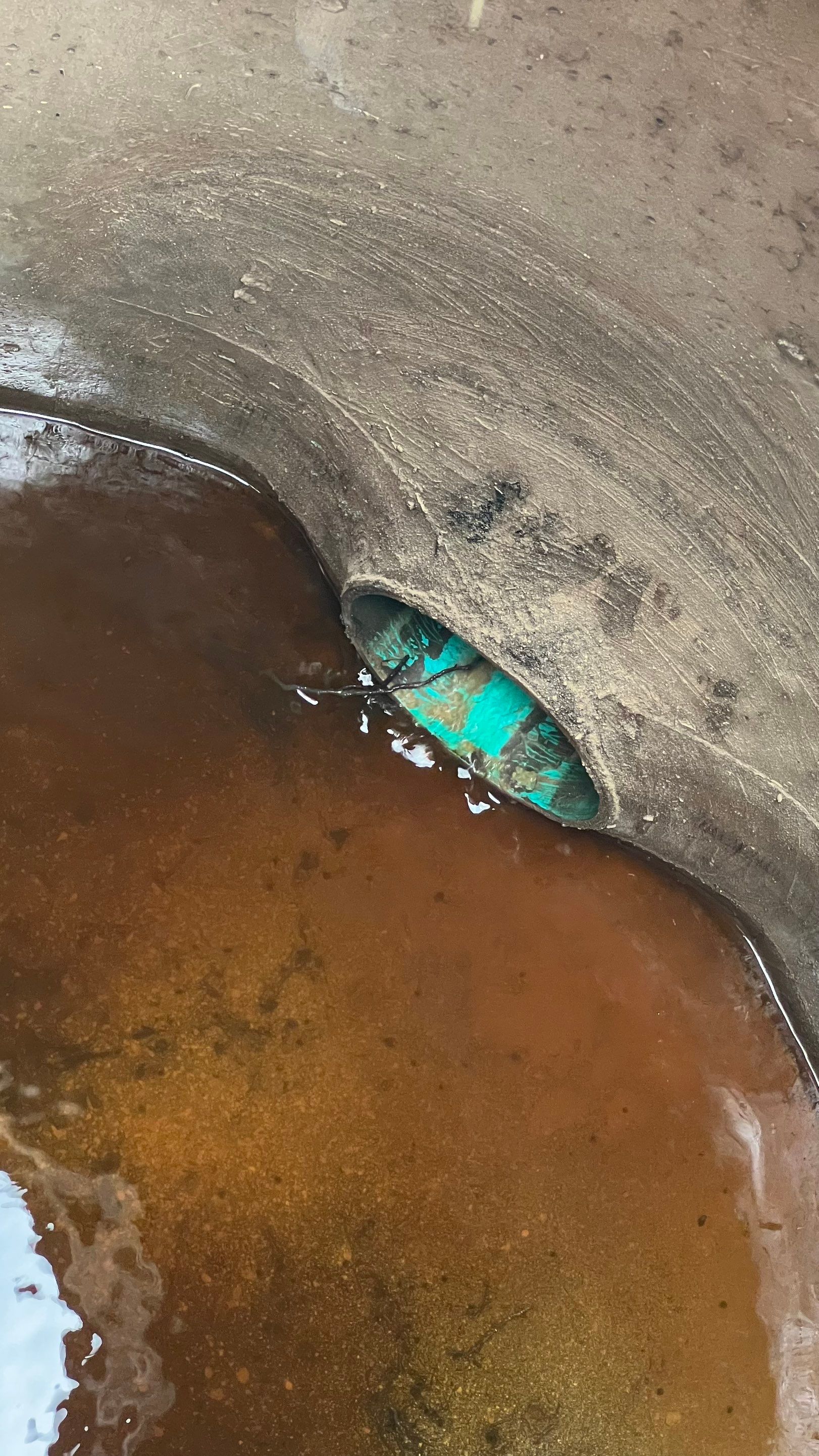 Lehigh Acres New Construction Community Sewer System Cleaning Part 2 by Don Mar, Inc. Storm Water Solutions