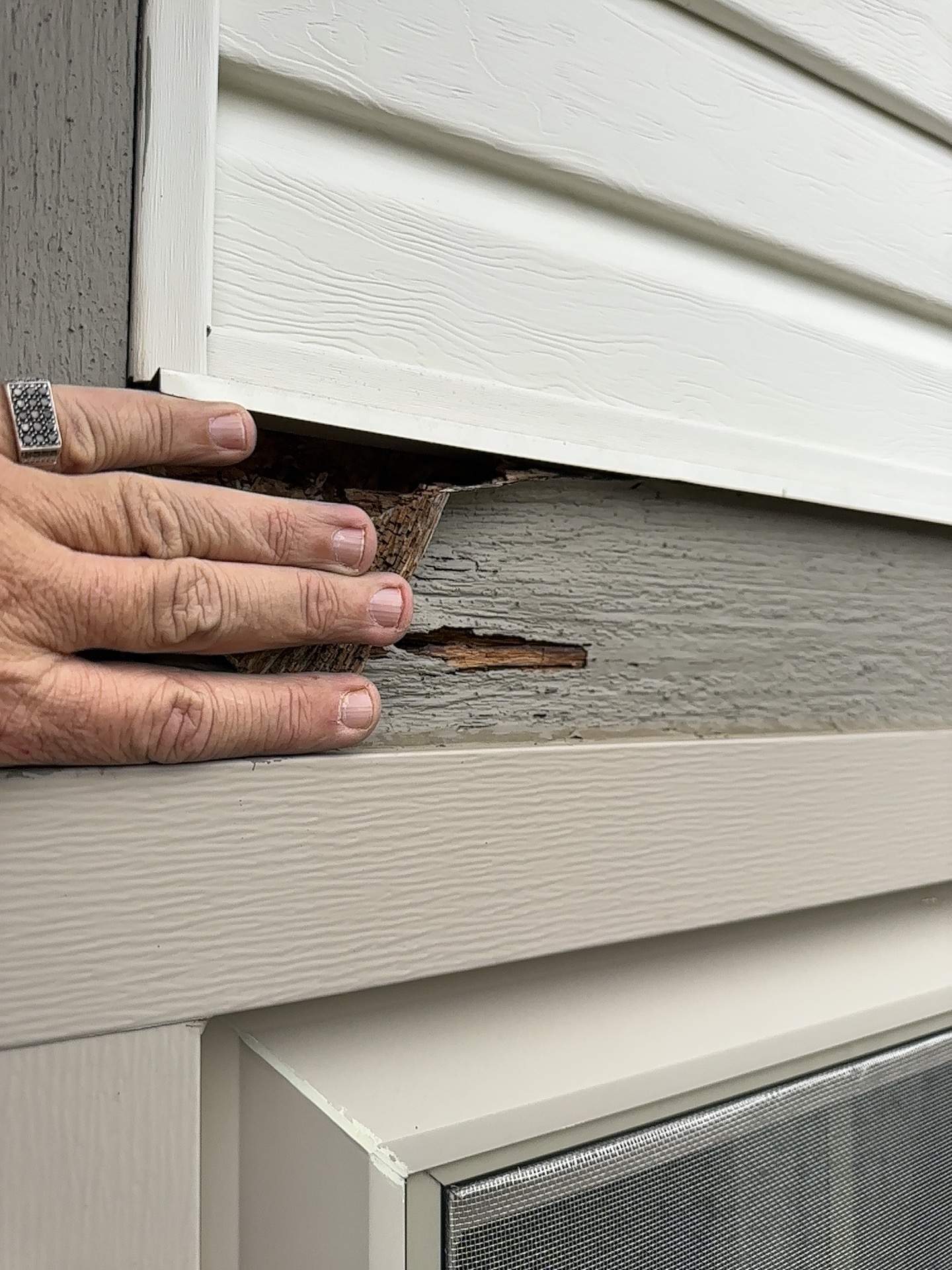 Kitchen Paint City, OH by 614 Exteriors