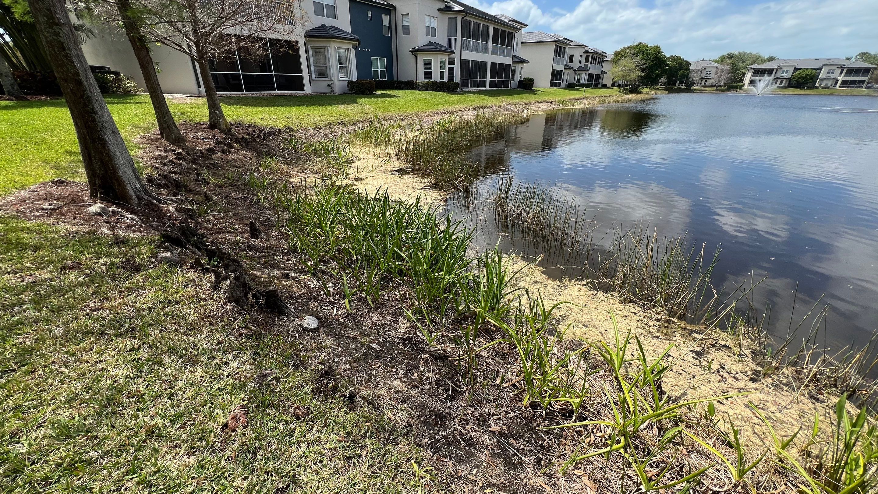 Estero Community Stormwater System Maintenance by APS Power & Water