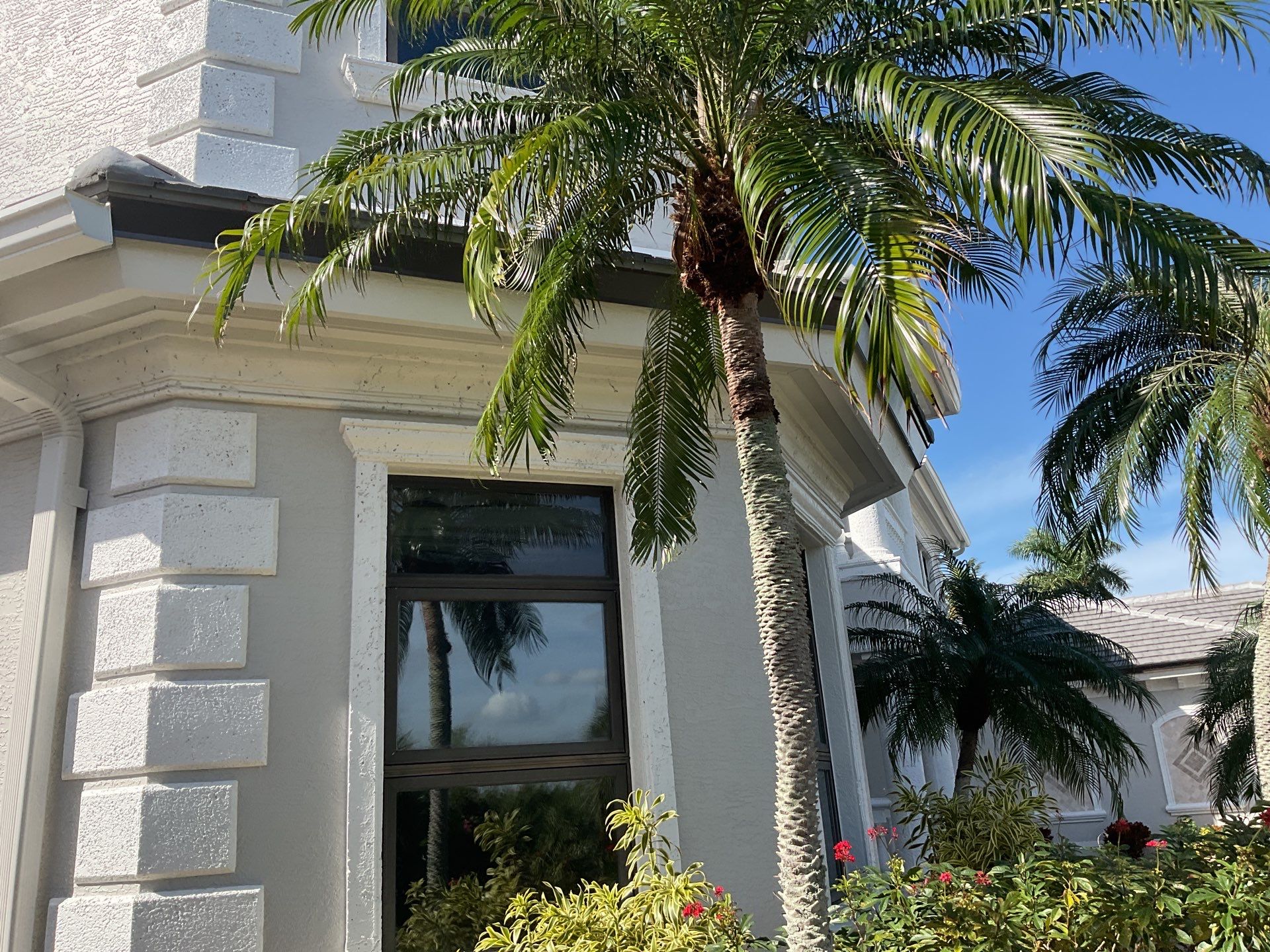7-Inch Seamless Gutters for Heavy Rainfall in Cape Coral FL by Gutter Professors