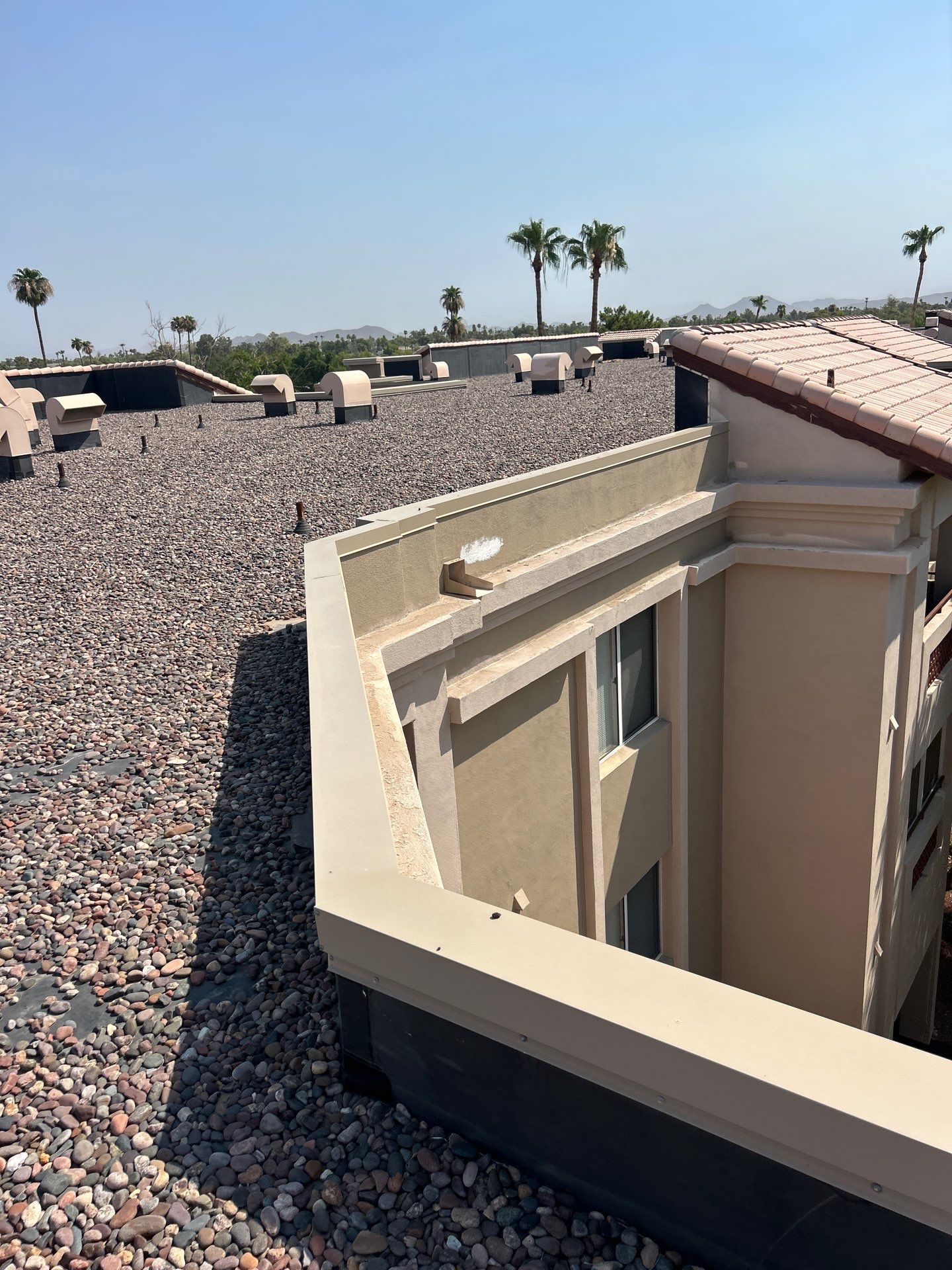 Project in Sun City by Crush Development Services LLC