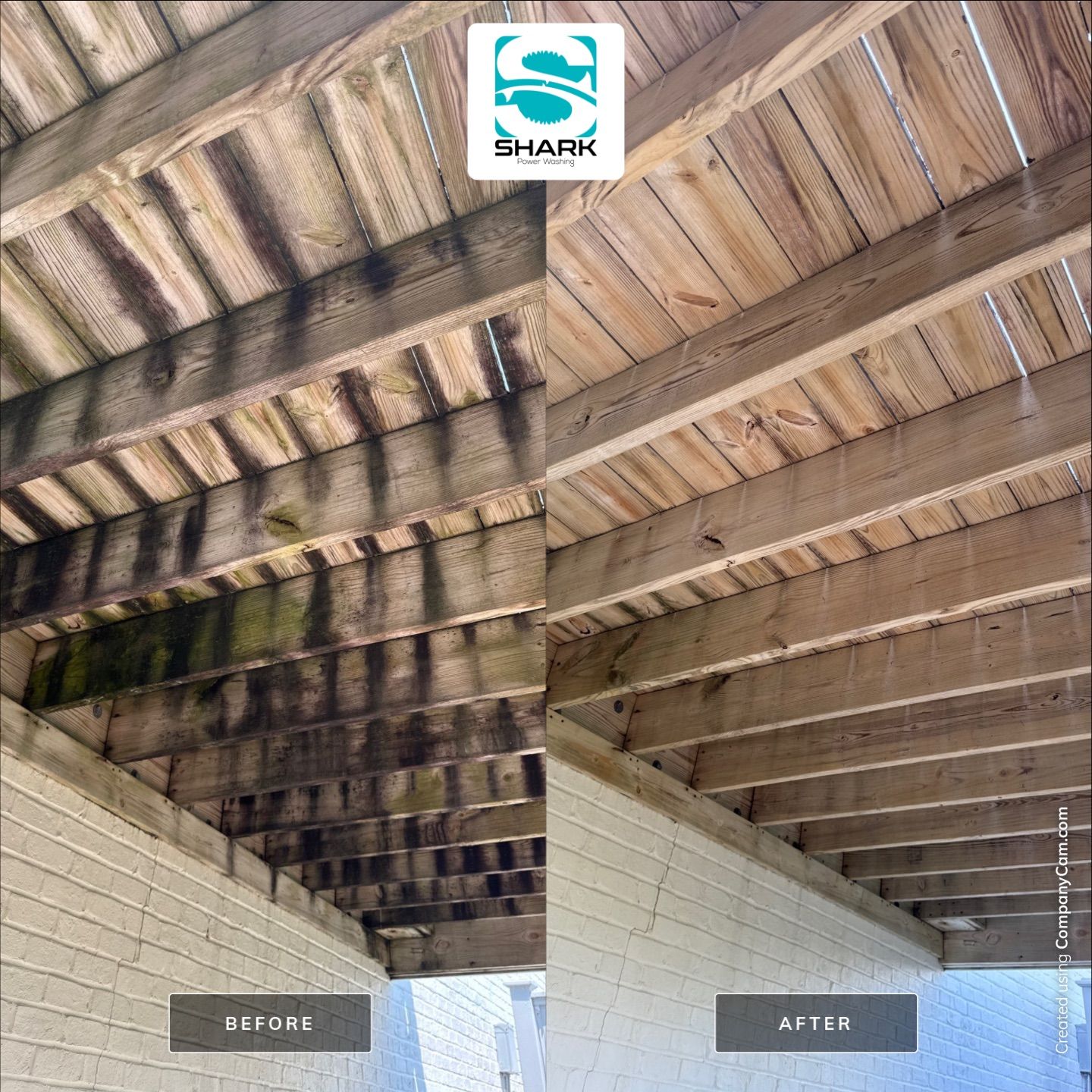 House Washing in Wilmington by Shark Power Washing