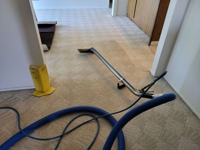 Carpet Cleaning in a Duplex