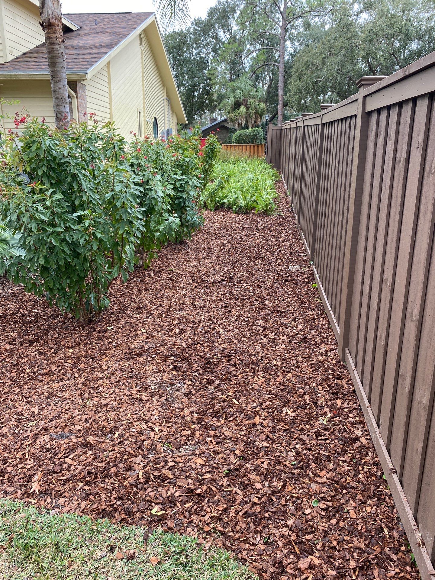Deerwood Resident | Landscape Freshen-Up Project by ProGreen Services