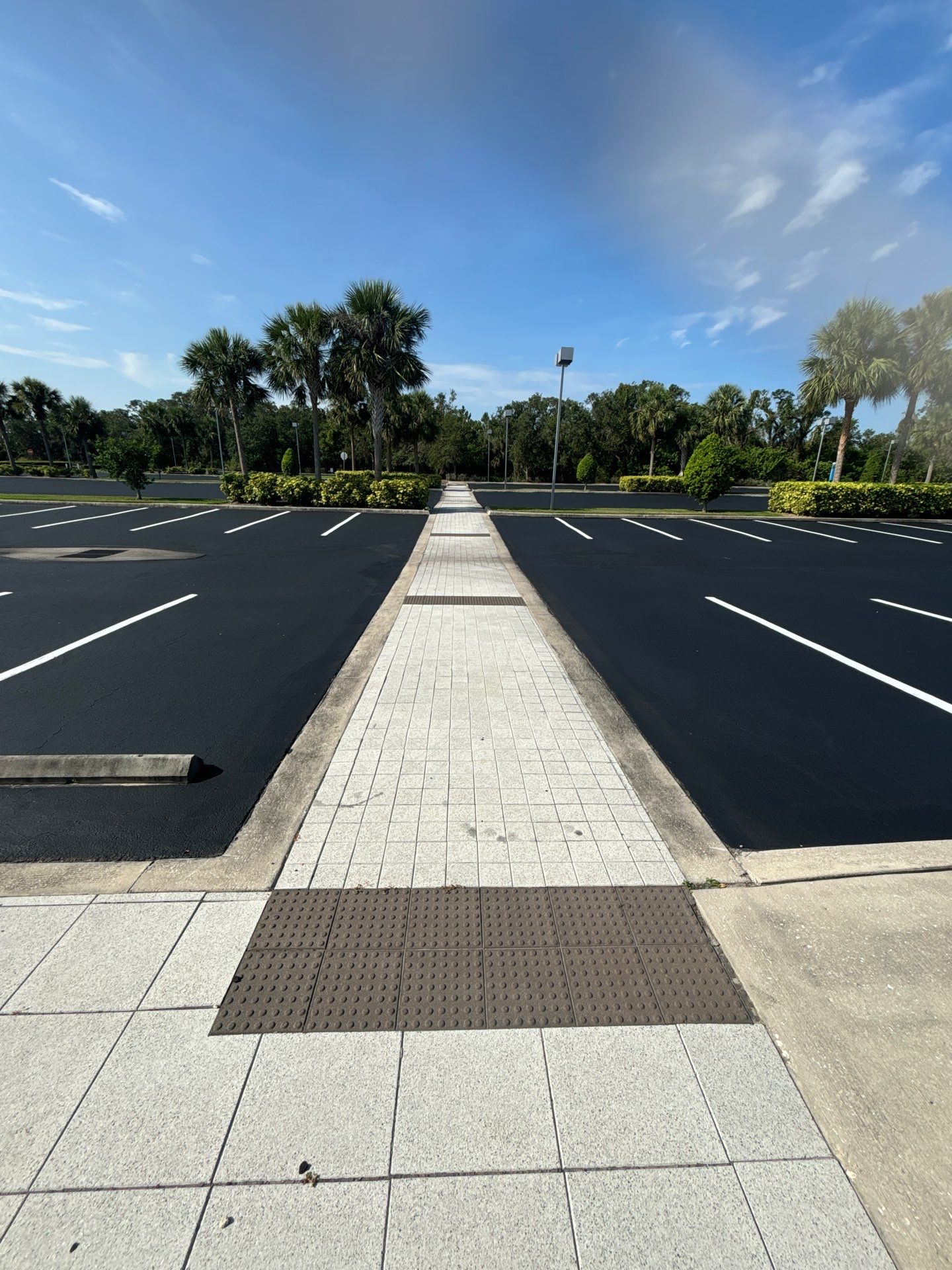 Sealcoating, Line Striping, & Asphalt Repair at LECOM School of Dental Medicine by Everline Coatings & Services - Southwest FL
