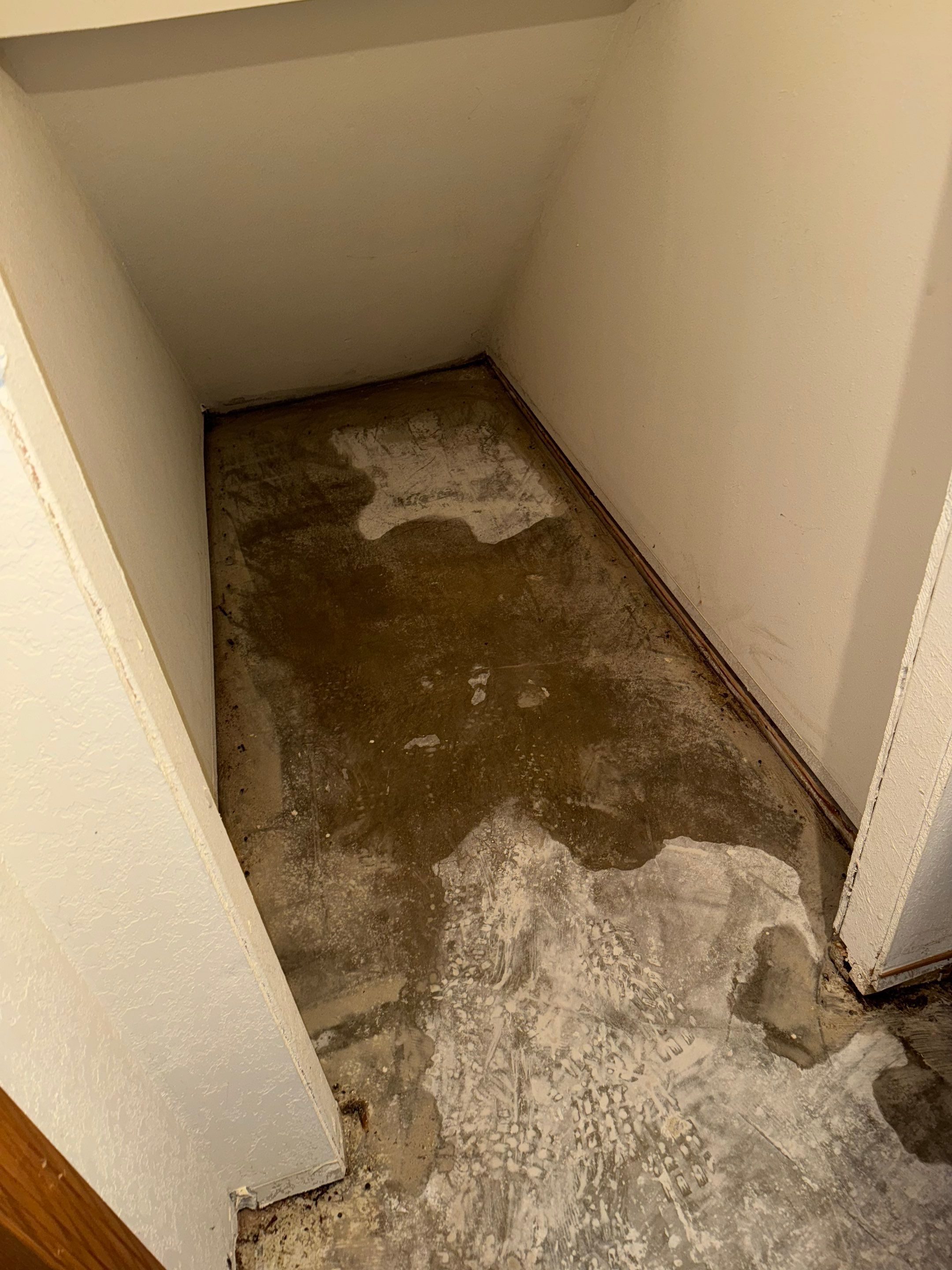 Water Damage in Wheat Ridge, CO by Alpha Restoration 