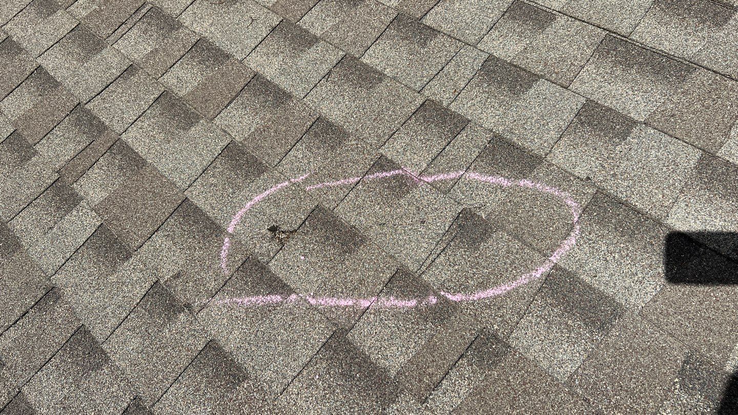 Winter storm 2023 with tree damage by Oakwood Roofing and Construction, LLC