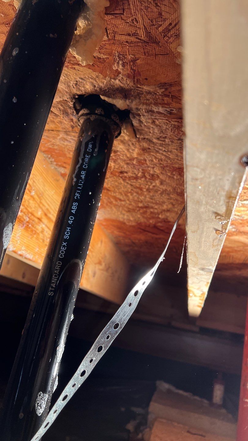 Mold Damage by Accountable Home Services