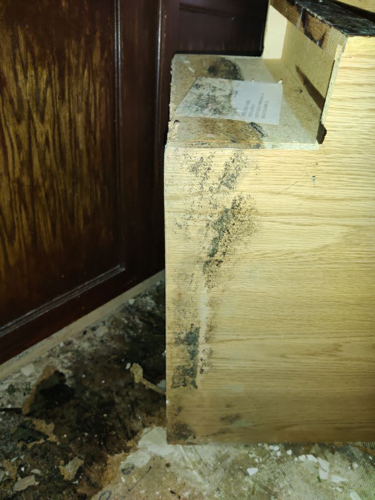 Mold Remediation in Kitchen by Accountable Home Services