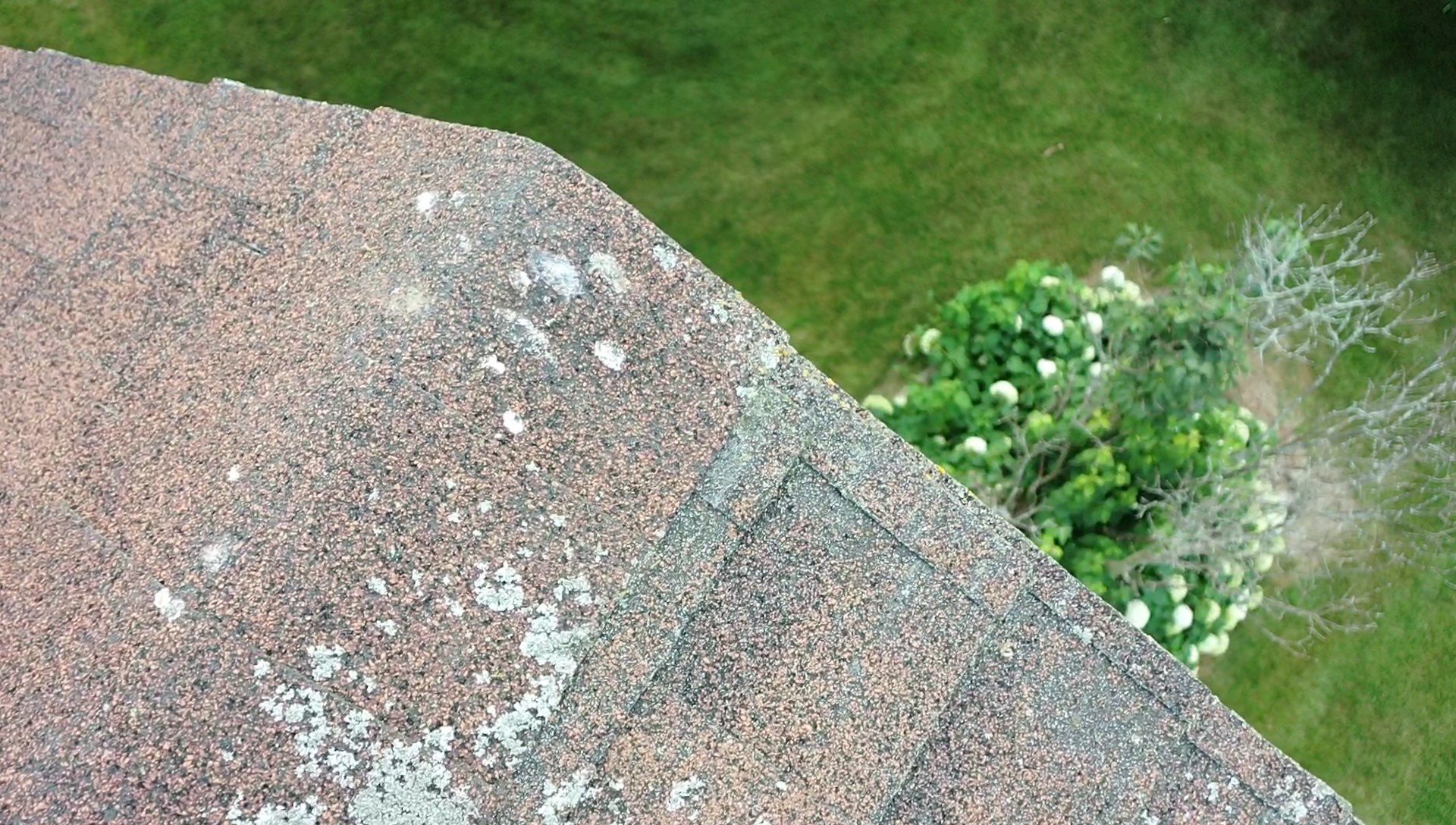 Save The Life Of Another Roof. Don’t Prematurely Replace Your Roof.  by Save My Roof,LLC