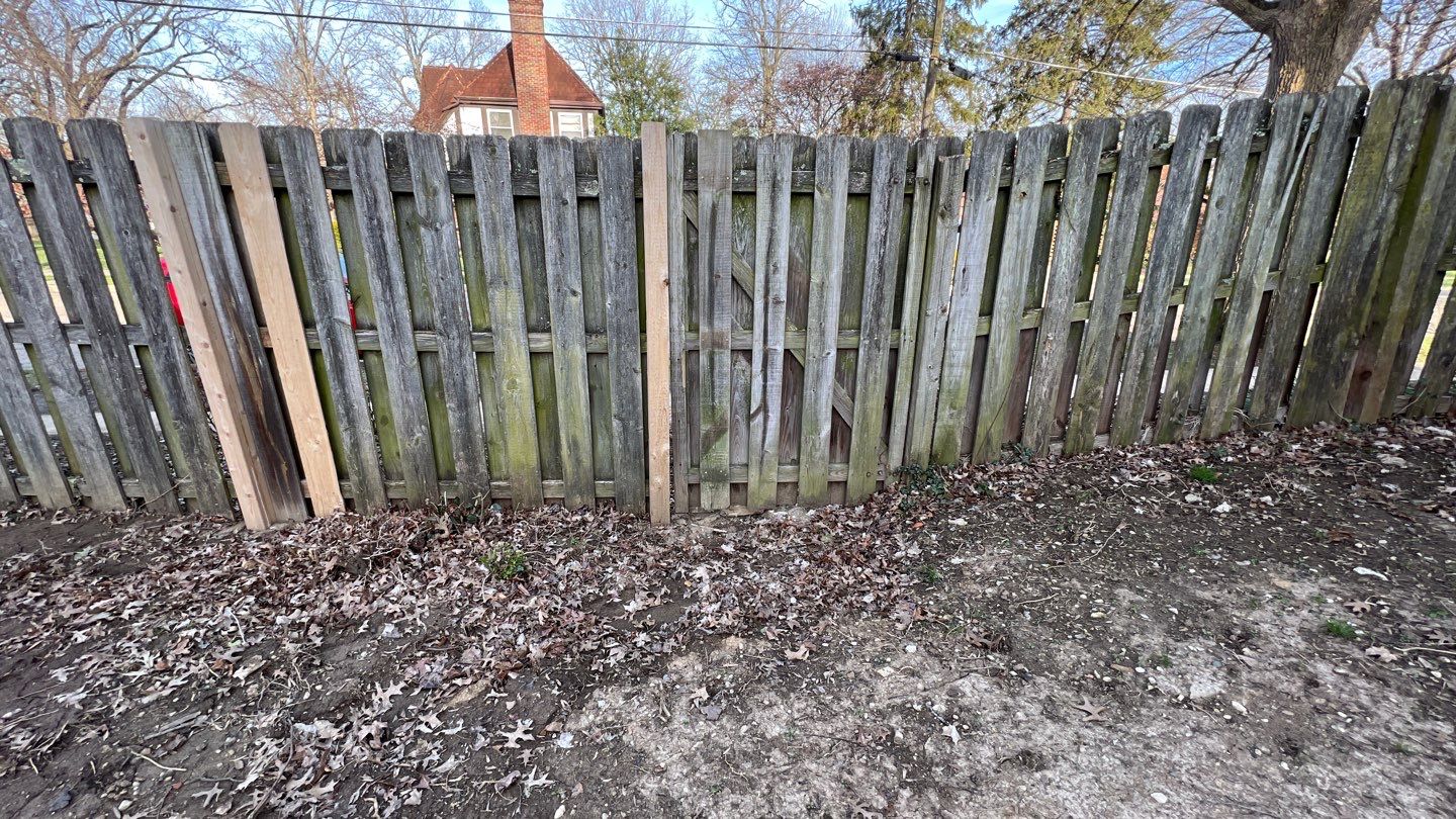 Rear Yard Turf Restoration by Reisenberg’s Lawn & Landscape, LLC