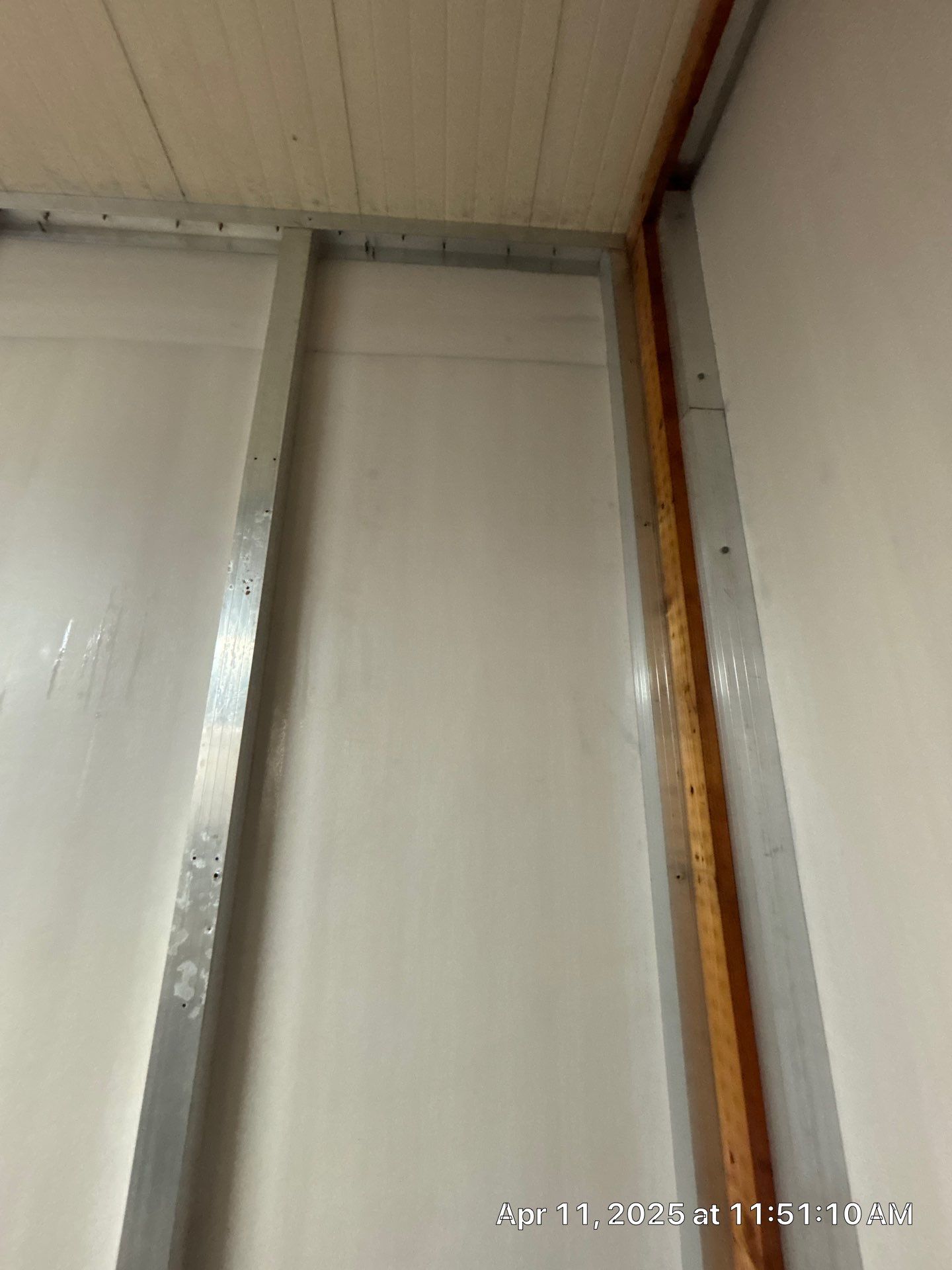 Mold Removal In Palmetto by Ampm Restoration Services