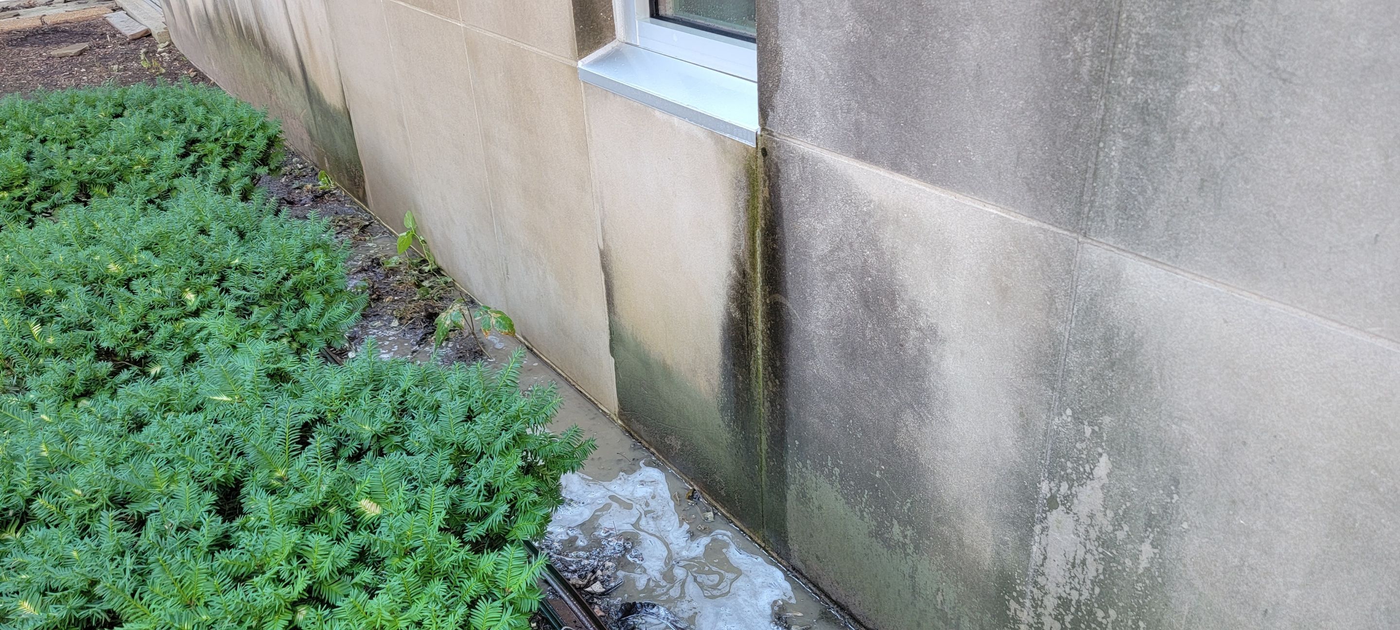 Courtyard pressure washing difficult access.  by Northern Power Washing LLC.