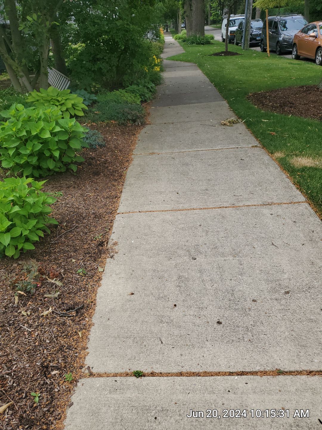 concrete cleaning using Algaecide, soft wash soap by Northern Power Washing LLC.