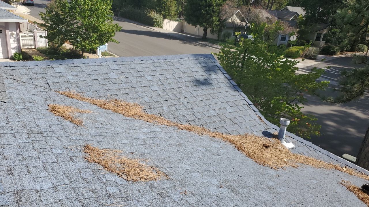 Attic Insulation, Roofing, and Solar for this in-town home by Byers Enterprises 