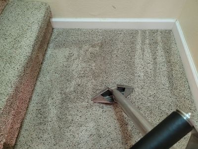 Carpet Cleaning with Pet Treatment